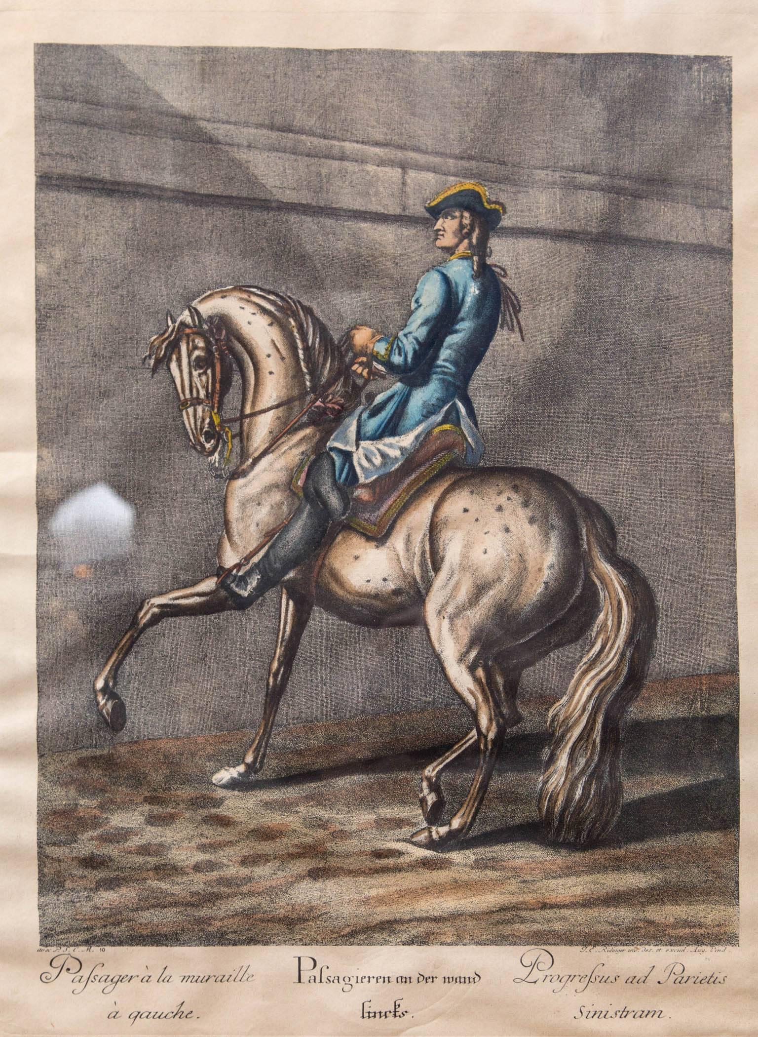 European Pair of Engravings of Horses and Riders in Dressage Poses