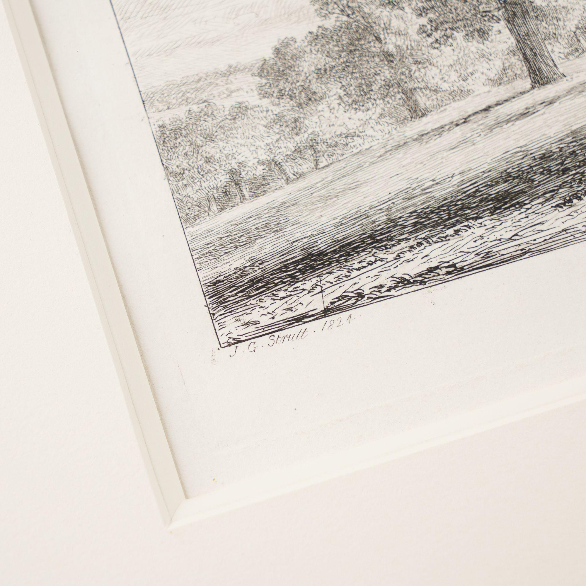 Pair of engravings of trees from 