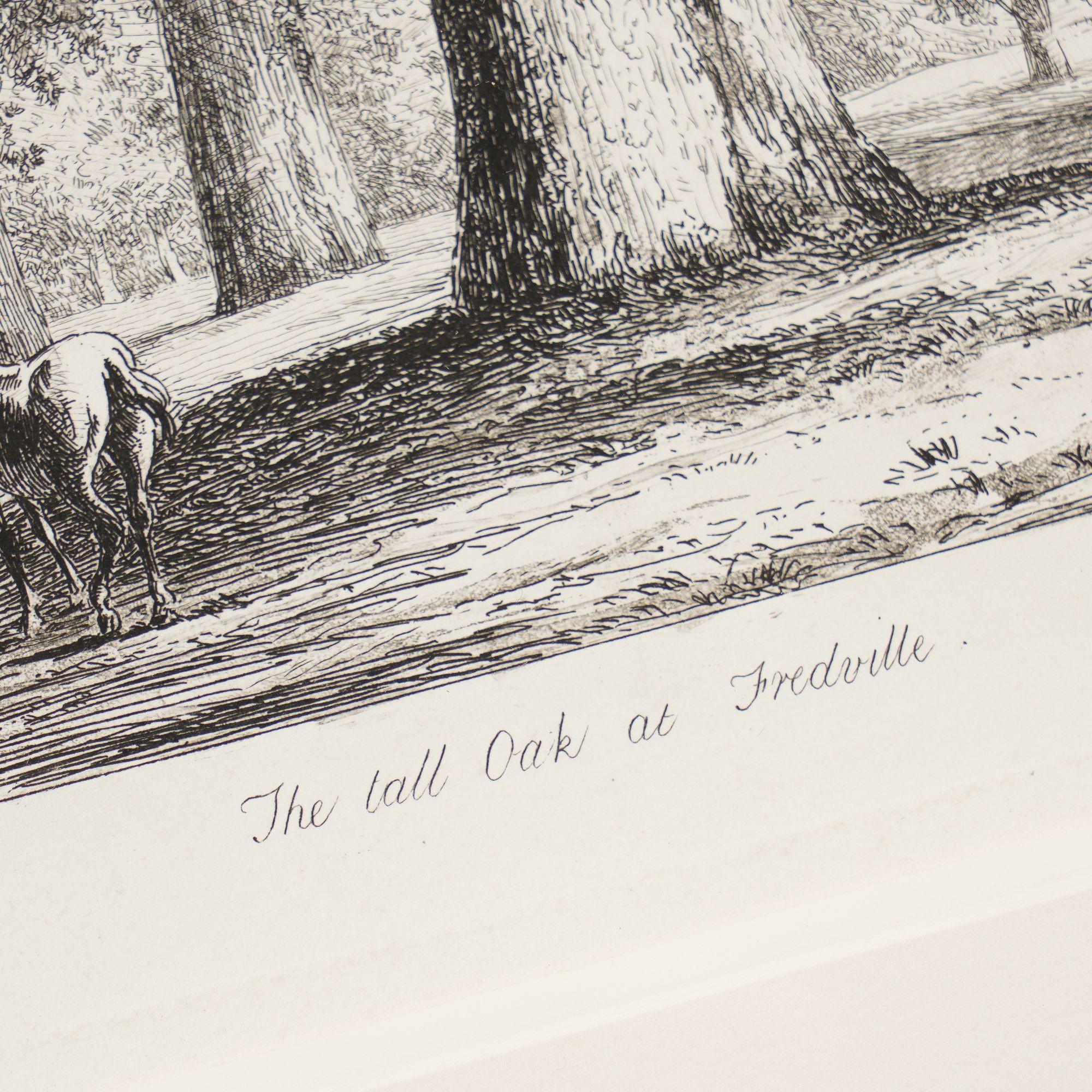 Pair of engravings of trees from 