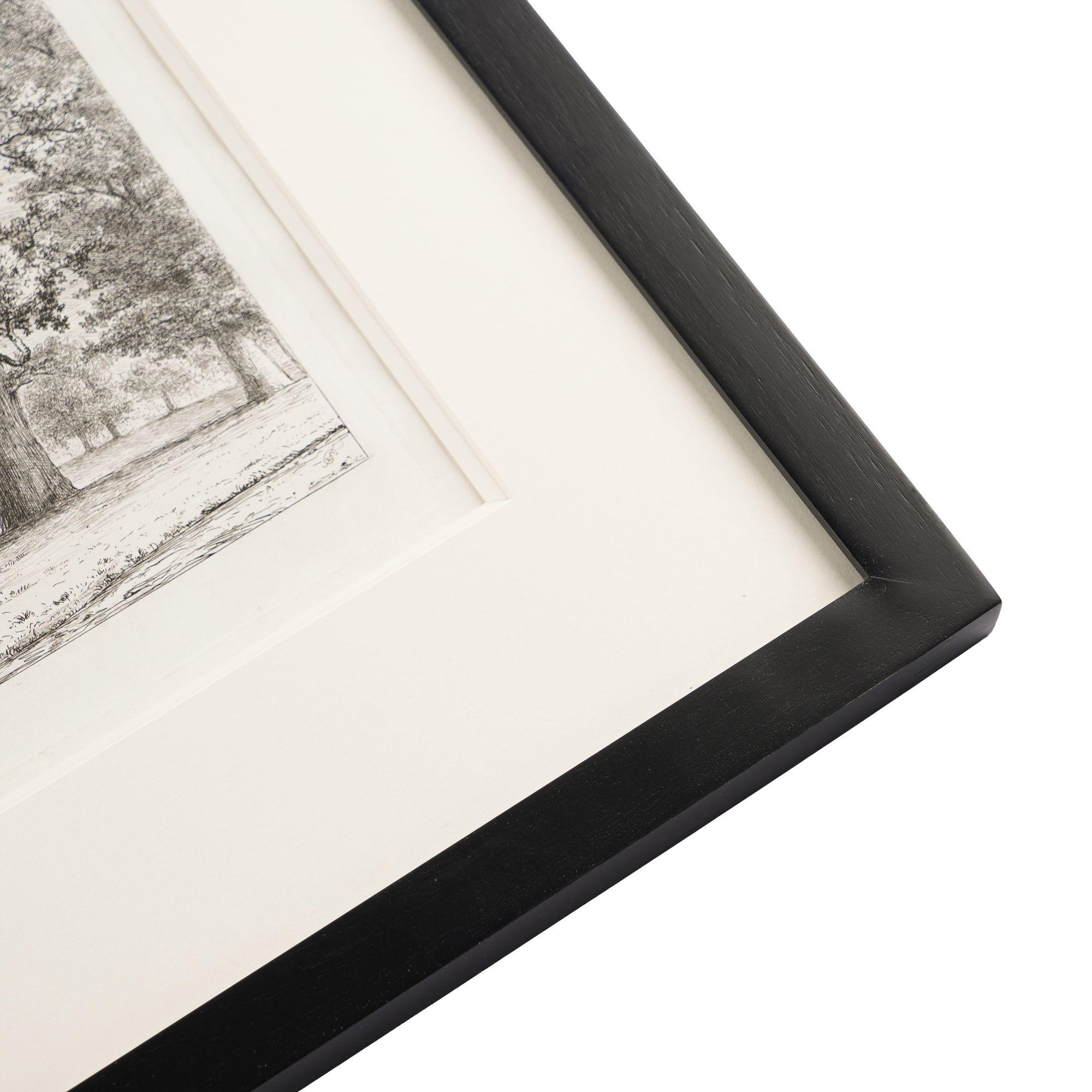 Pair of engravings of trees from 