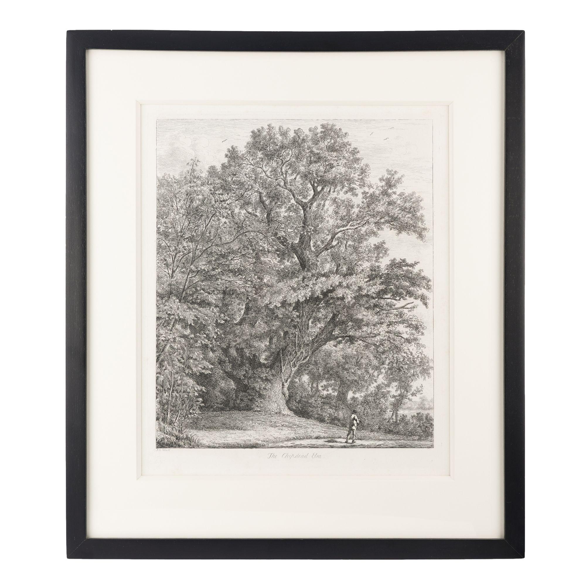 Pair of engravings by Jacob George Strutt from the landmark 1826 publication, 
