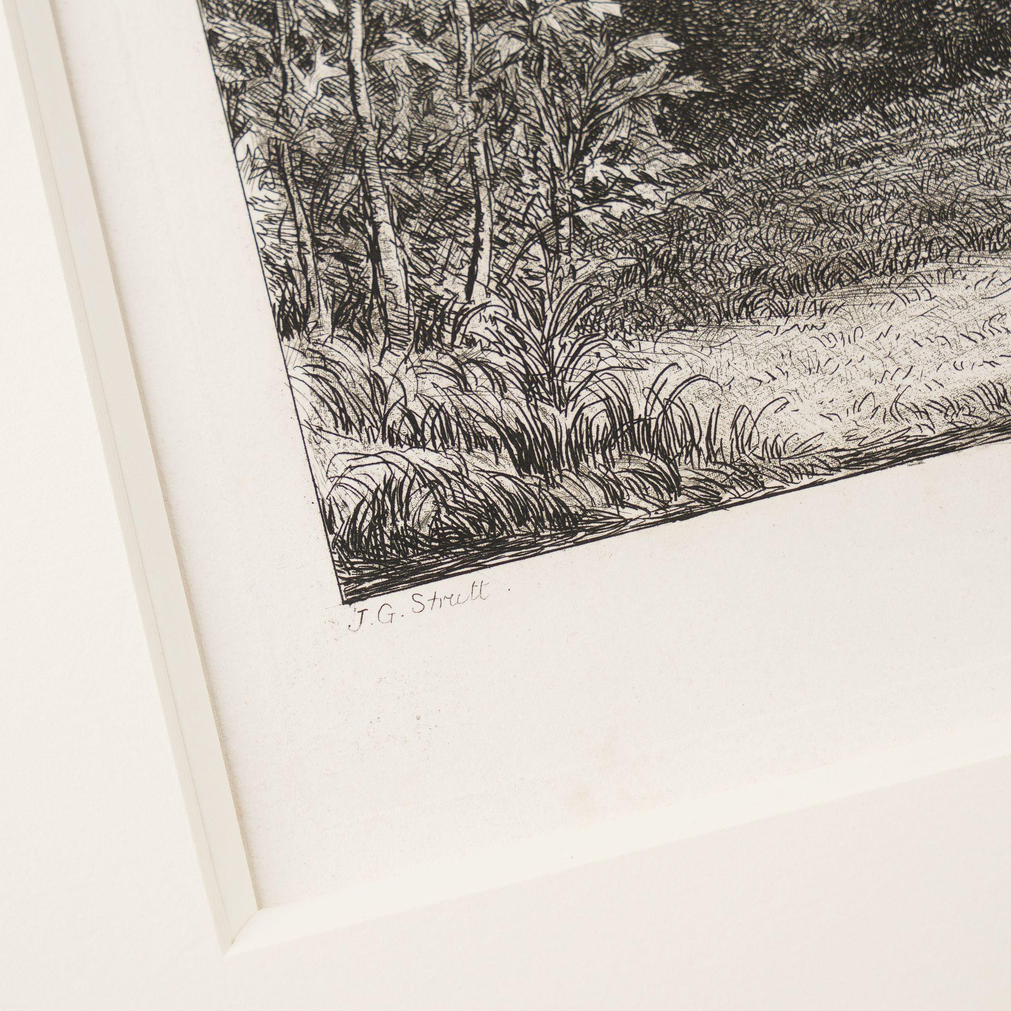 Pair of engravings of trees from 