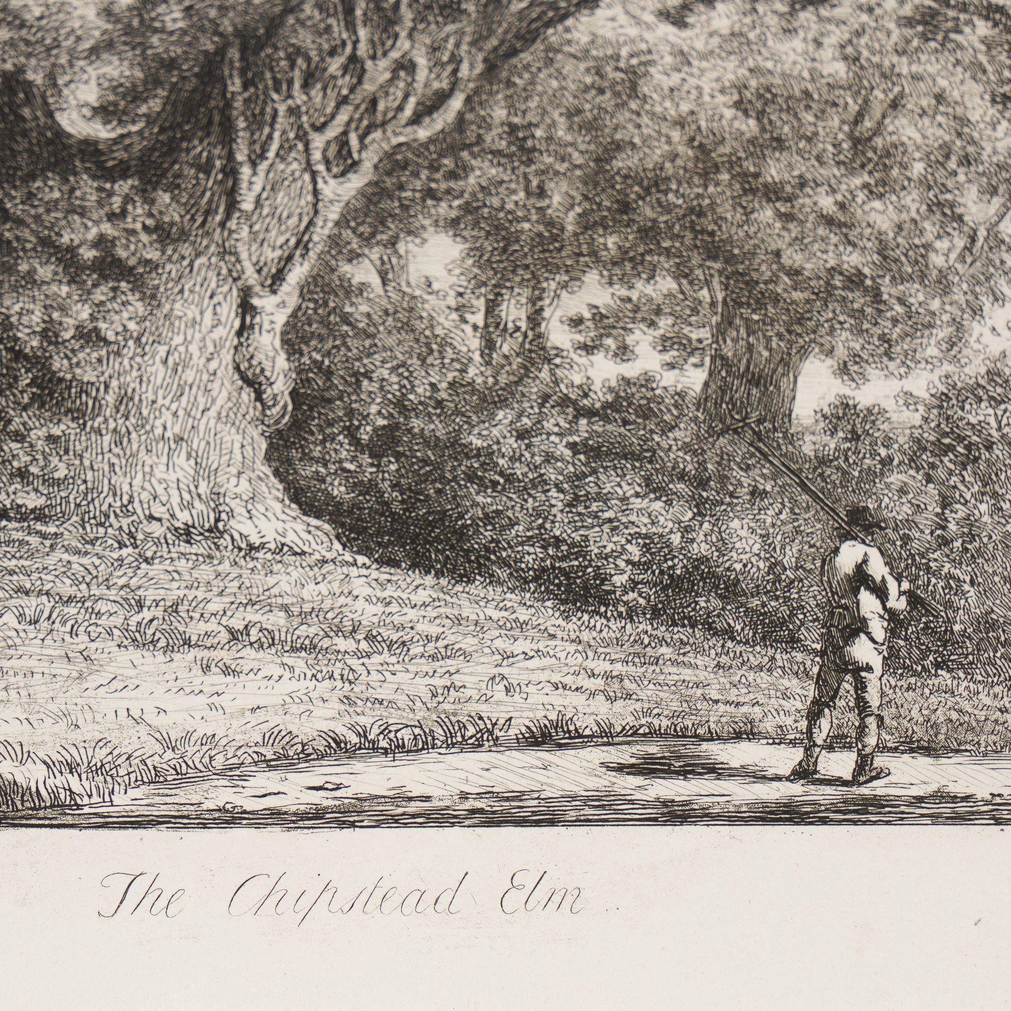 Early 19th Century Pair of engravings of trees from 