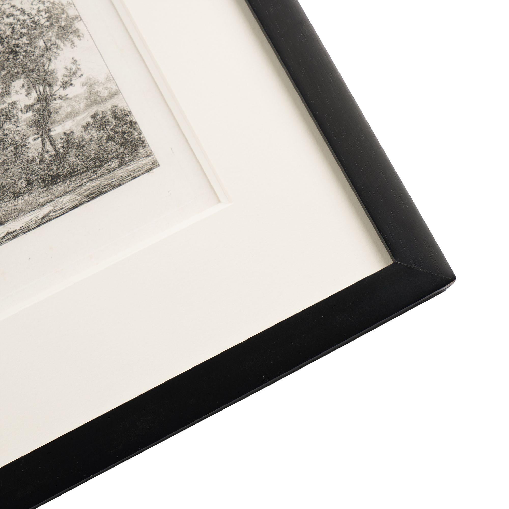 Pair of engravings of trees from 