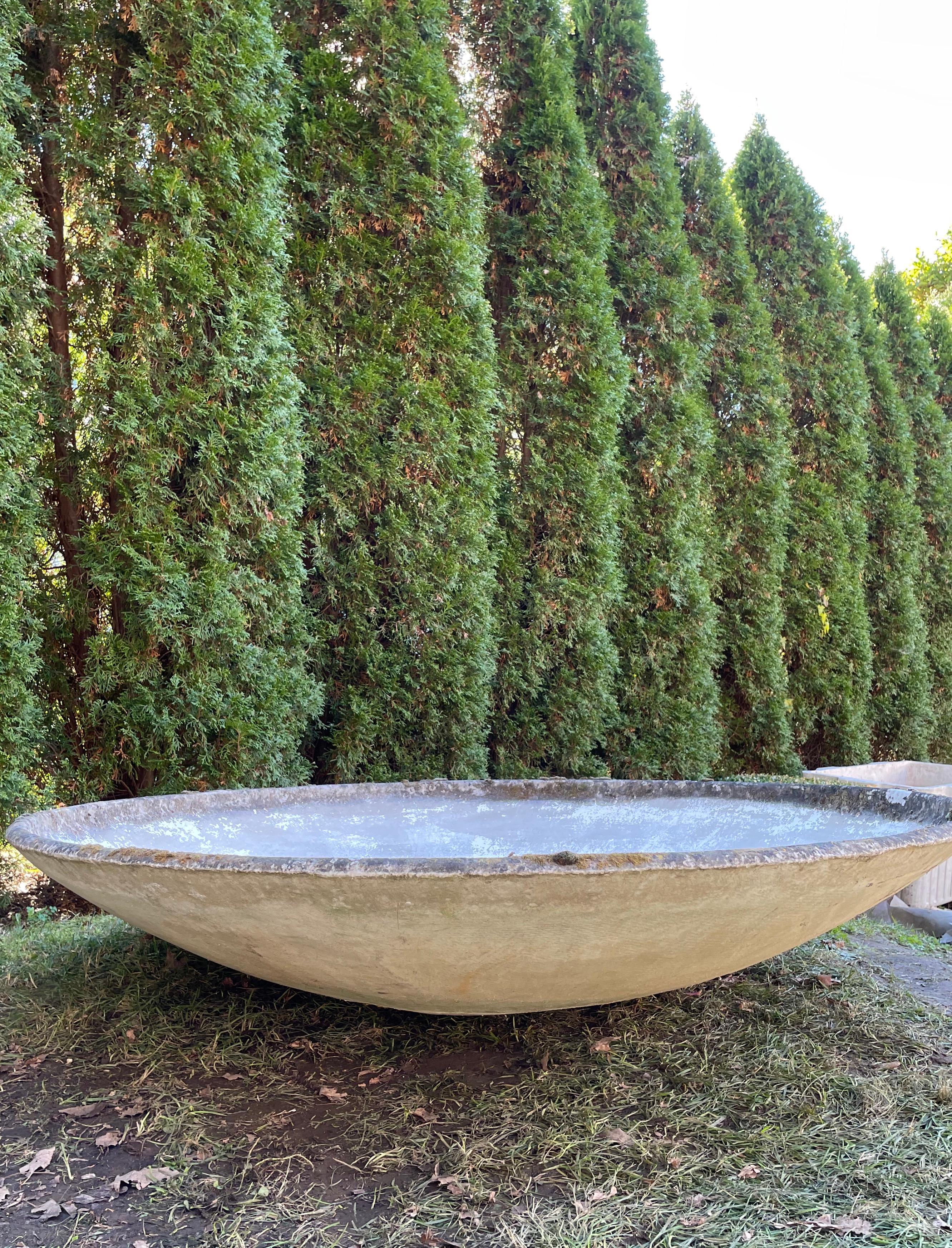 Pair of Enormous Saucer Planters by Willy Guhl  For Sale 4