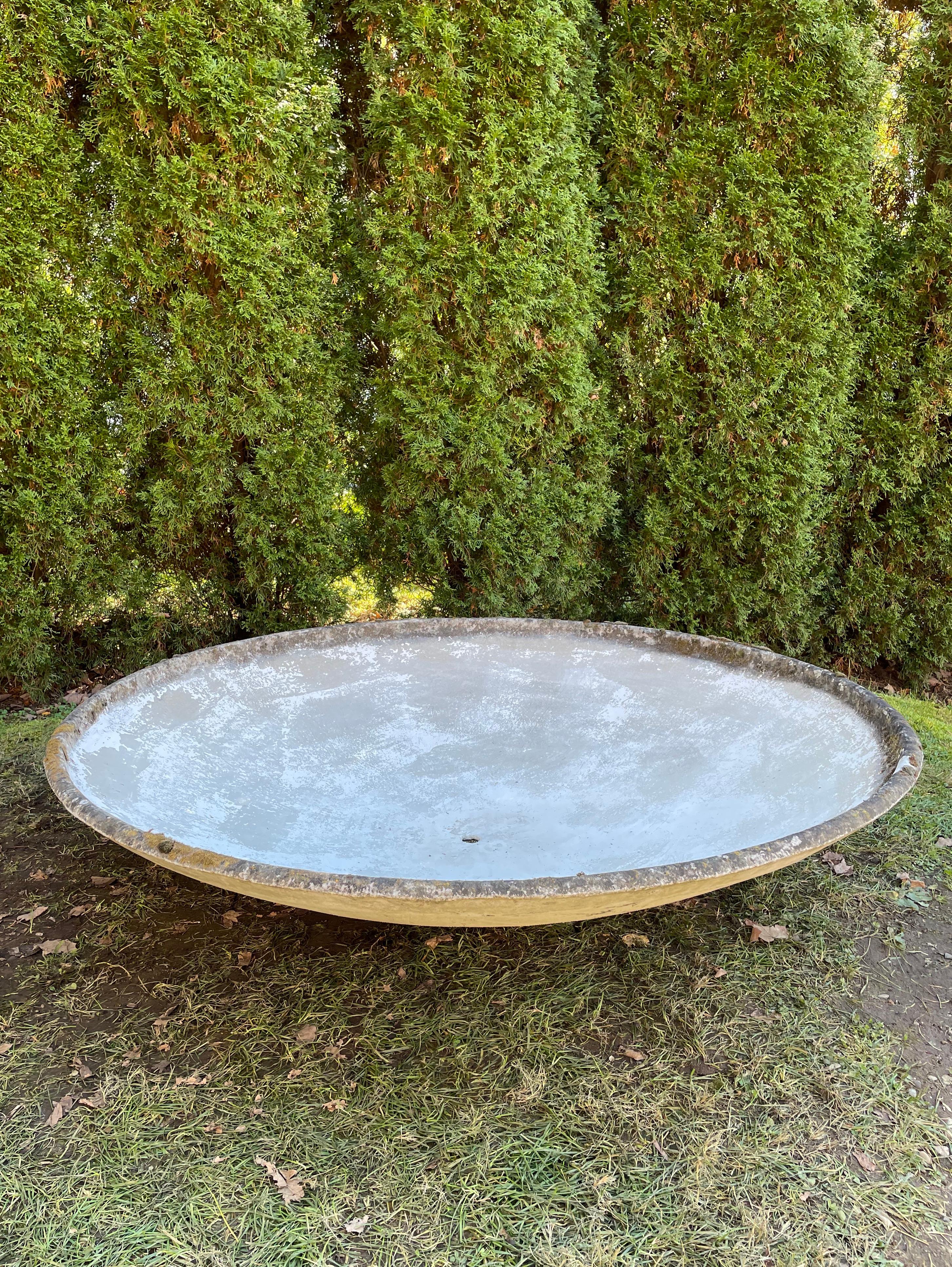 Pair of Enormous Saucer Planters by Willy Guhl  For Sale 5