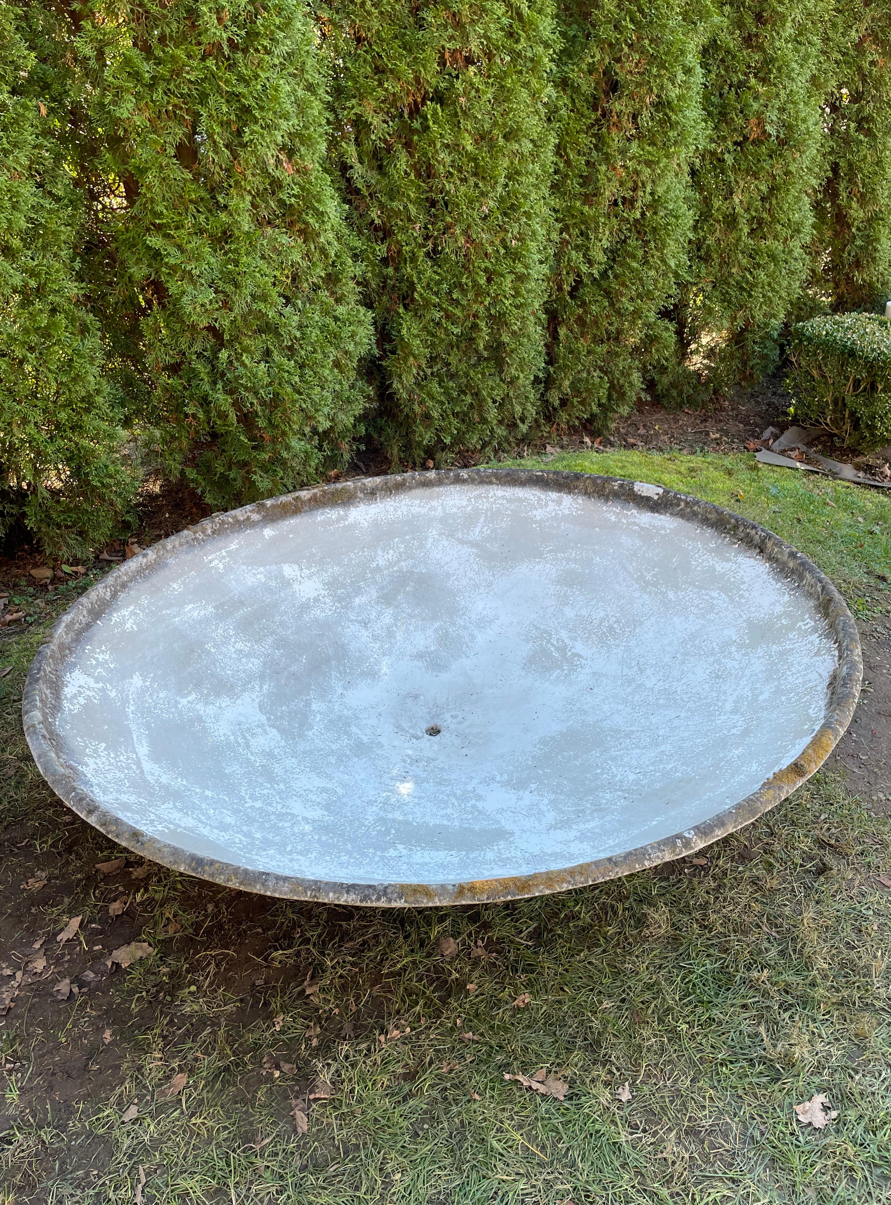 Pair of Enormous Saucer Planters by Willy Guhl  For Sale 6