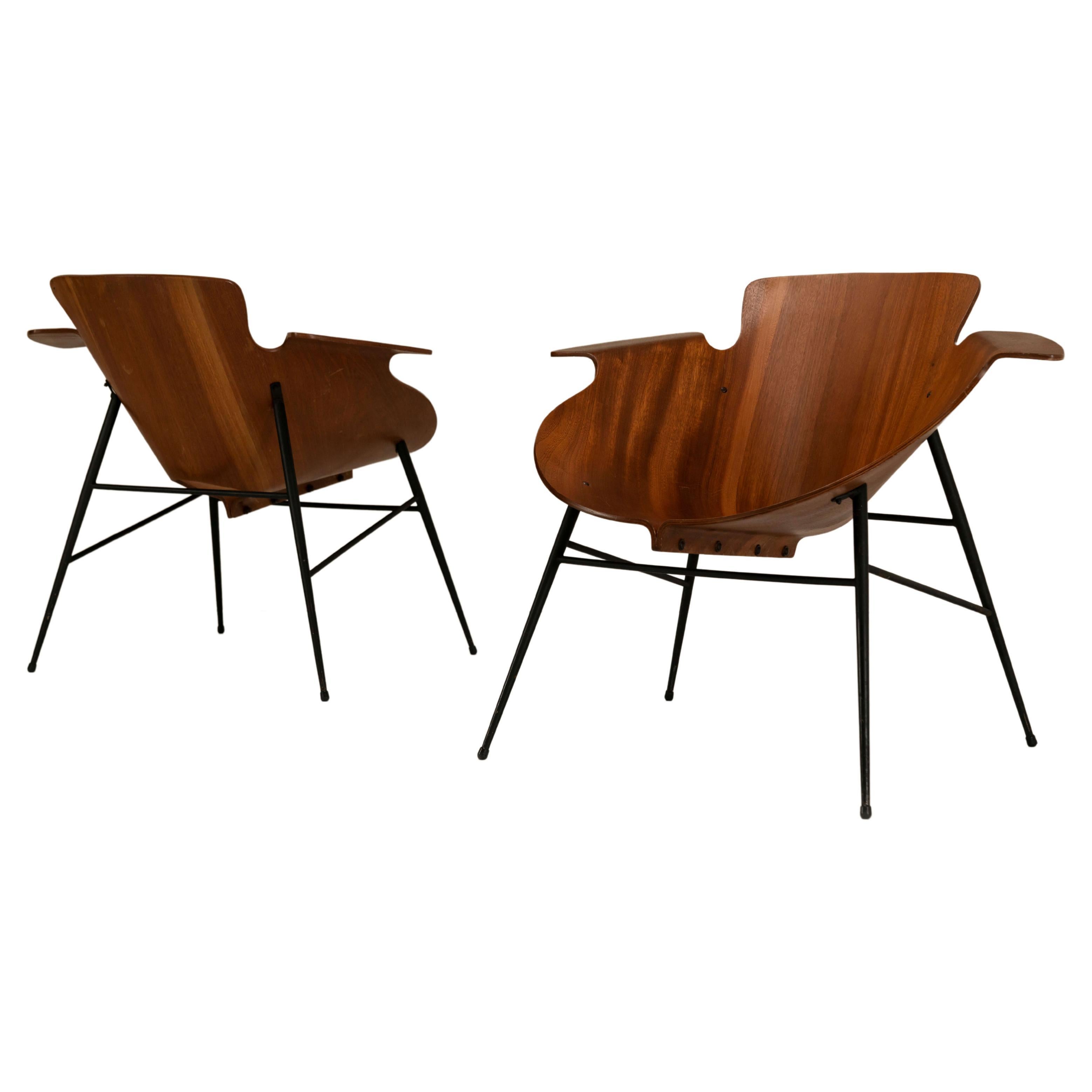 Pair of Eugenio Gerli Model 126 Lounge Chairs Società Compensati Curvi, Italy