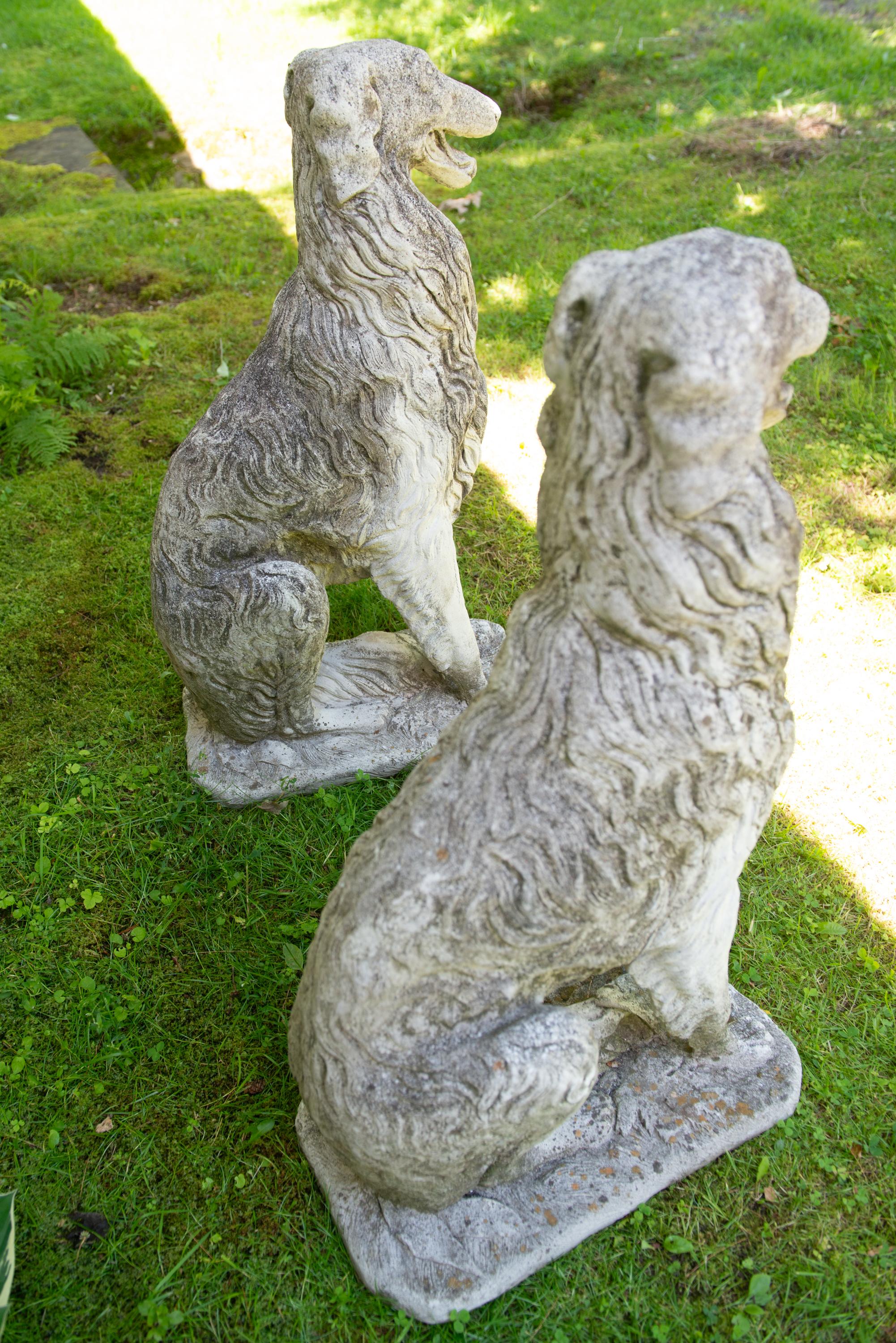 Pareja de Perros Borzoi Lobero Ruso Europeos de Tamaño Natural de los Años 30 en venta 8