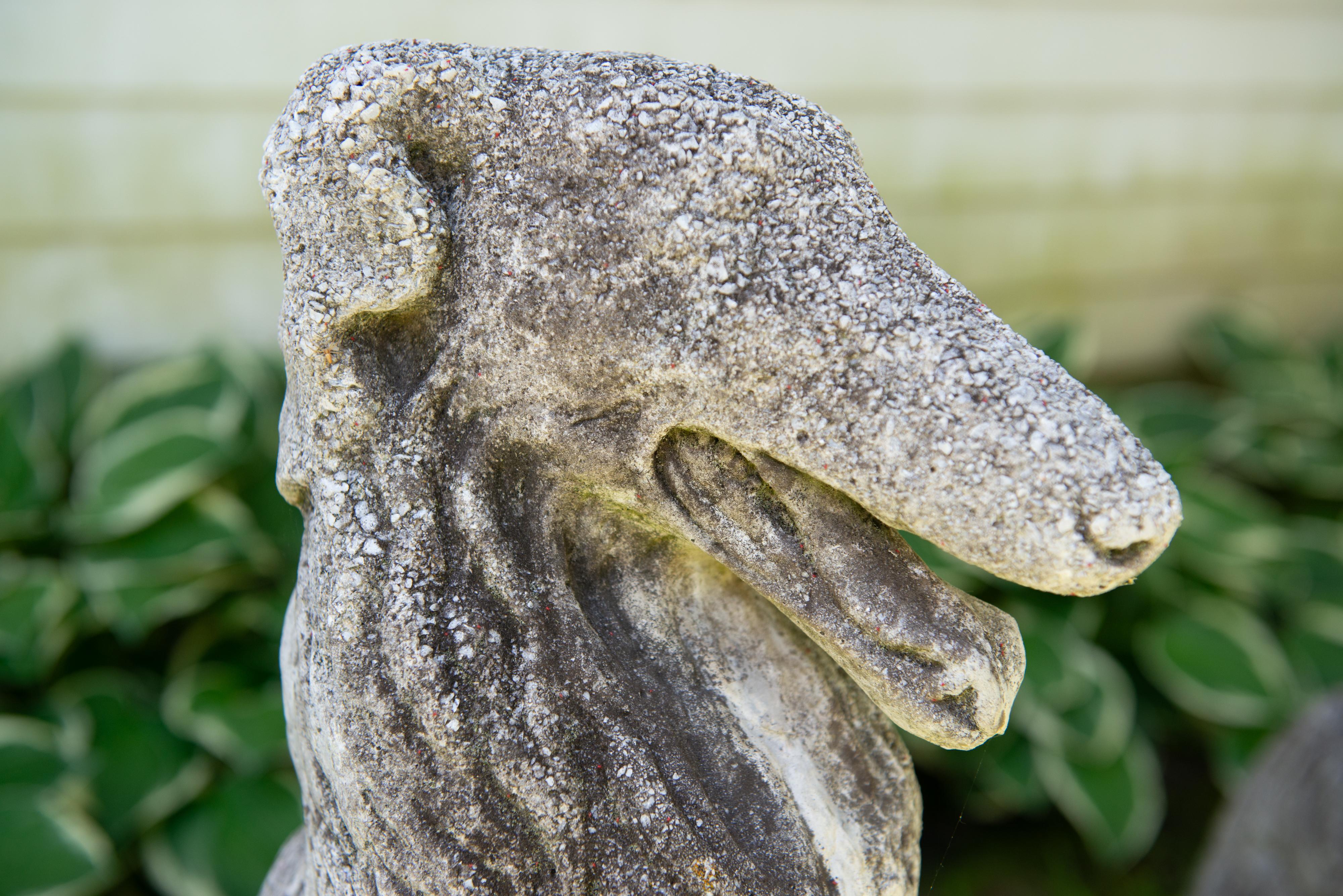 Pareja de Perros Borzoi Lobero Ruso Europeos de Tamaño Natural de los Años 30 en venta 9