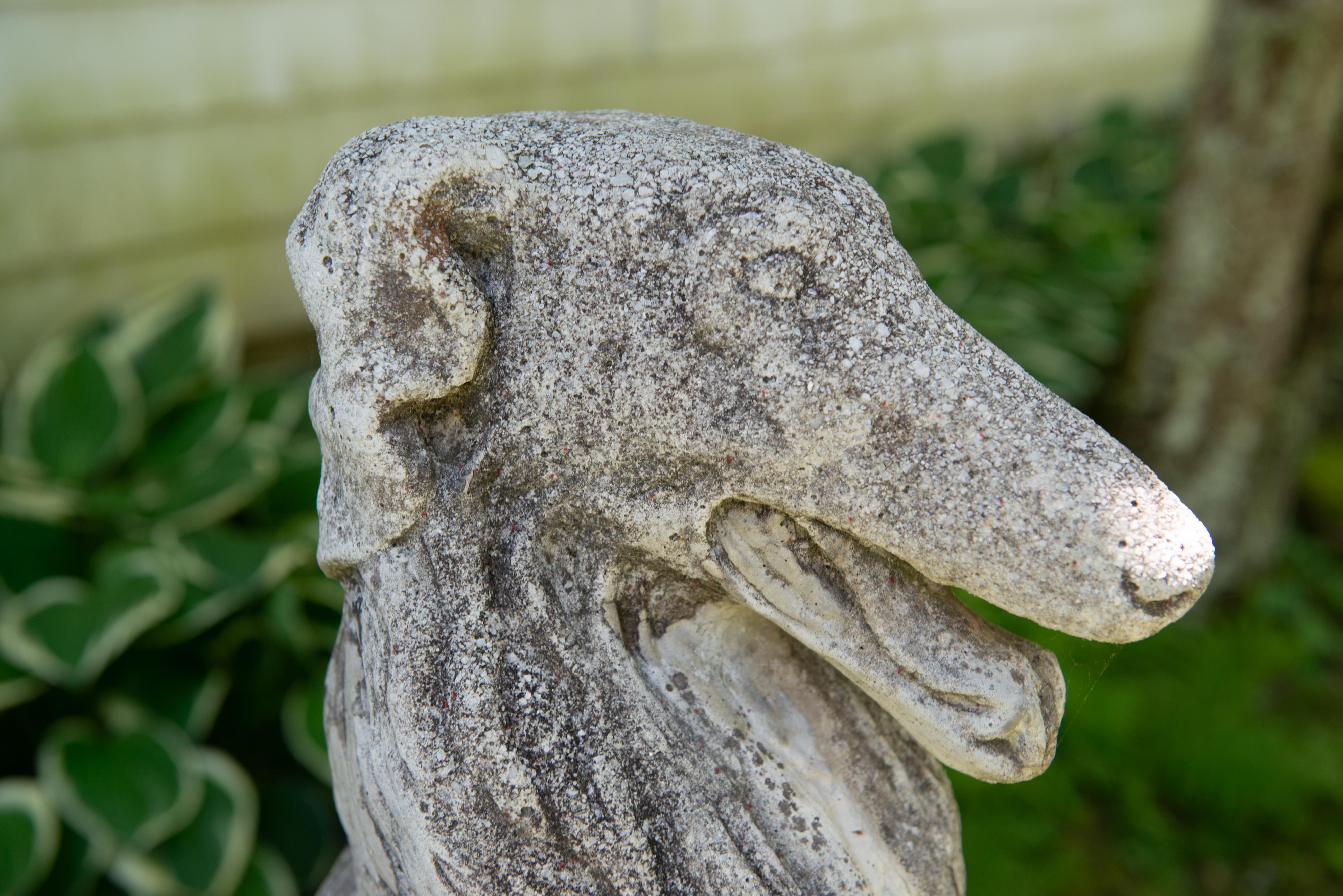 Pareja de Perros Borzoi Lobero Ruso Europeos de Tamaño Natural de los Años 30 en venta 10