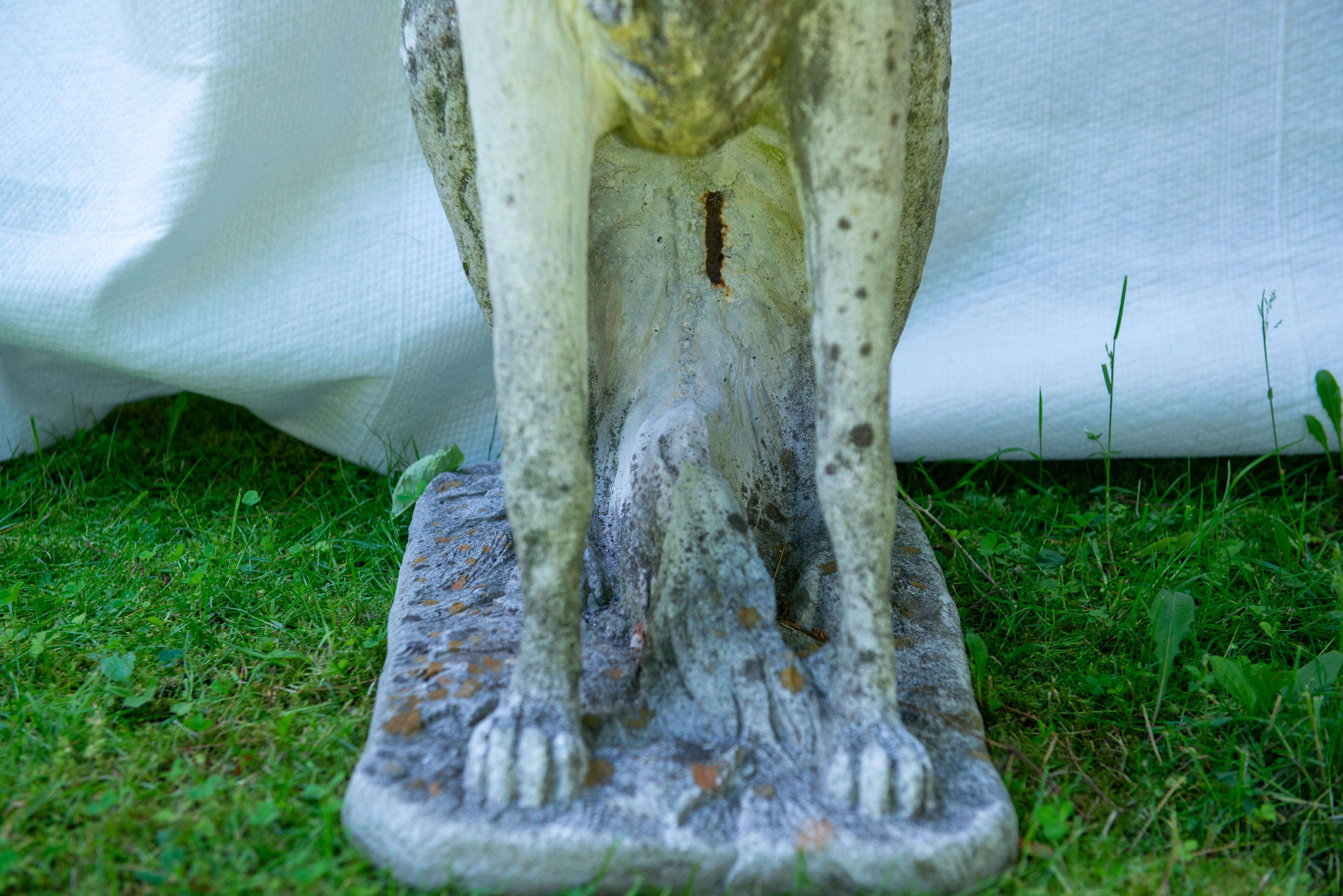 Pareja de Perros Borzoi Lobero Ruso Europeos de Tamaño Natural de los Años 30 en venta 3