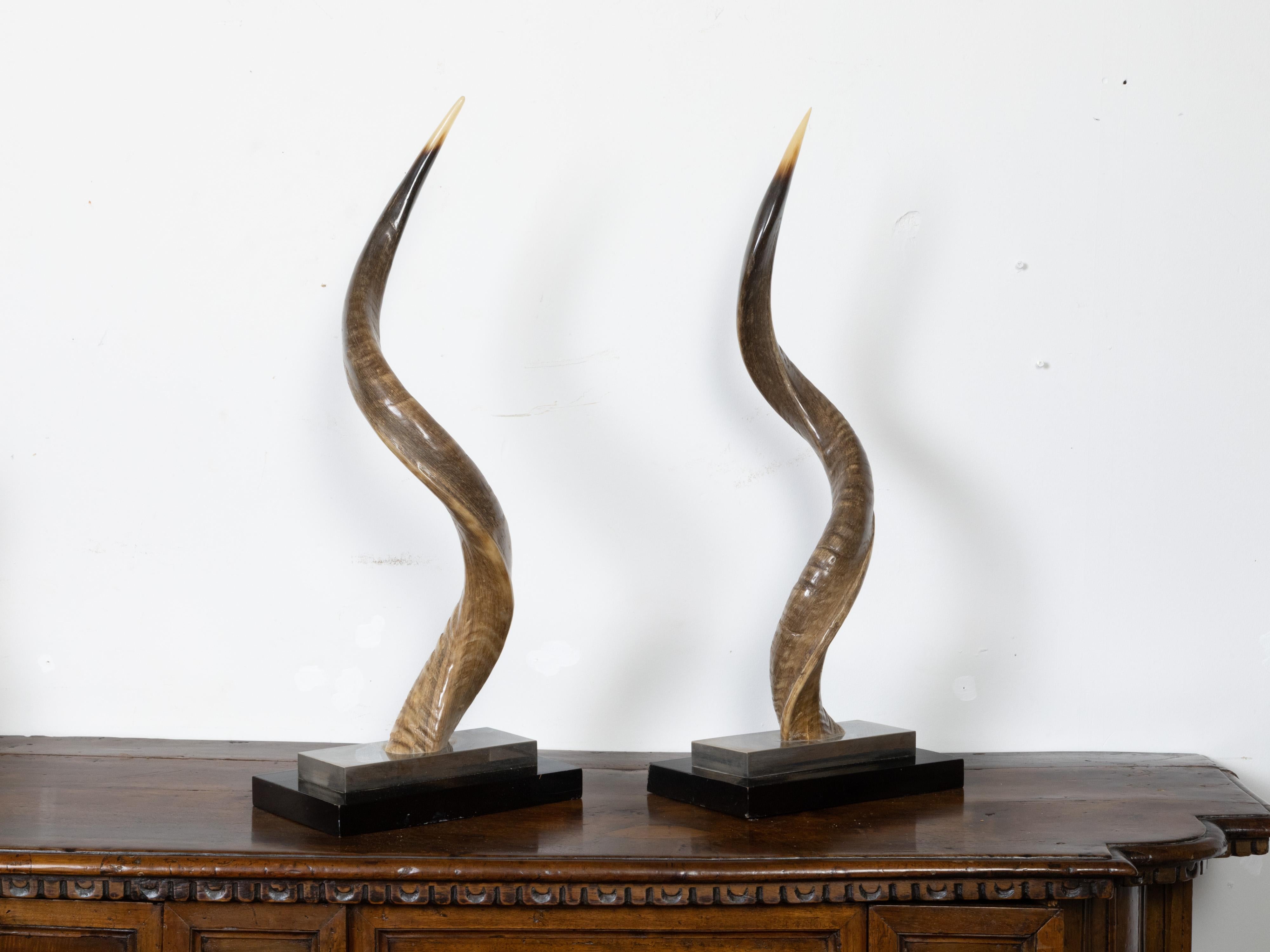 A pair of European midcentury horns mounted on stepped bases. Capturing our attention with their great presence, each of this pair of horns is mounted on a stepped base showcasing silver and black tones. With their sinuous lines and contrasting