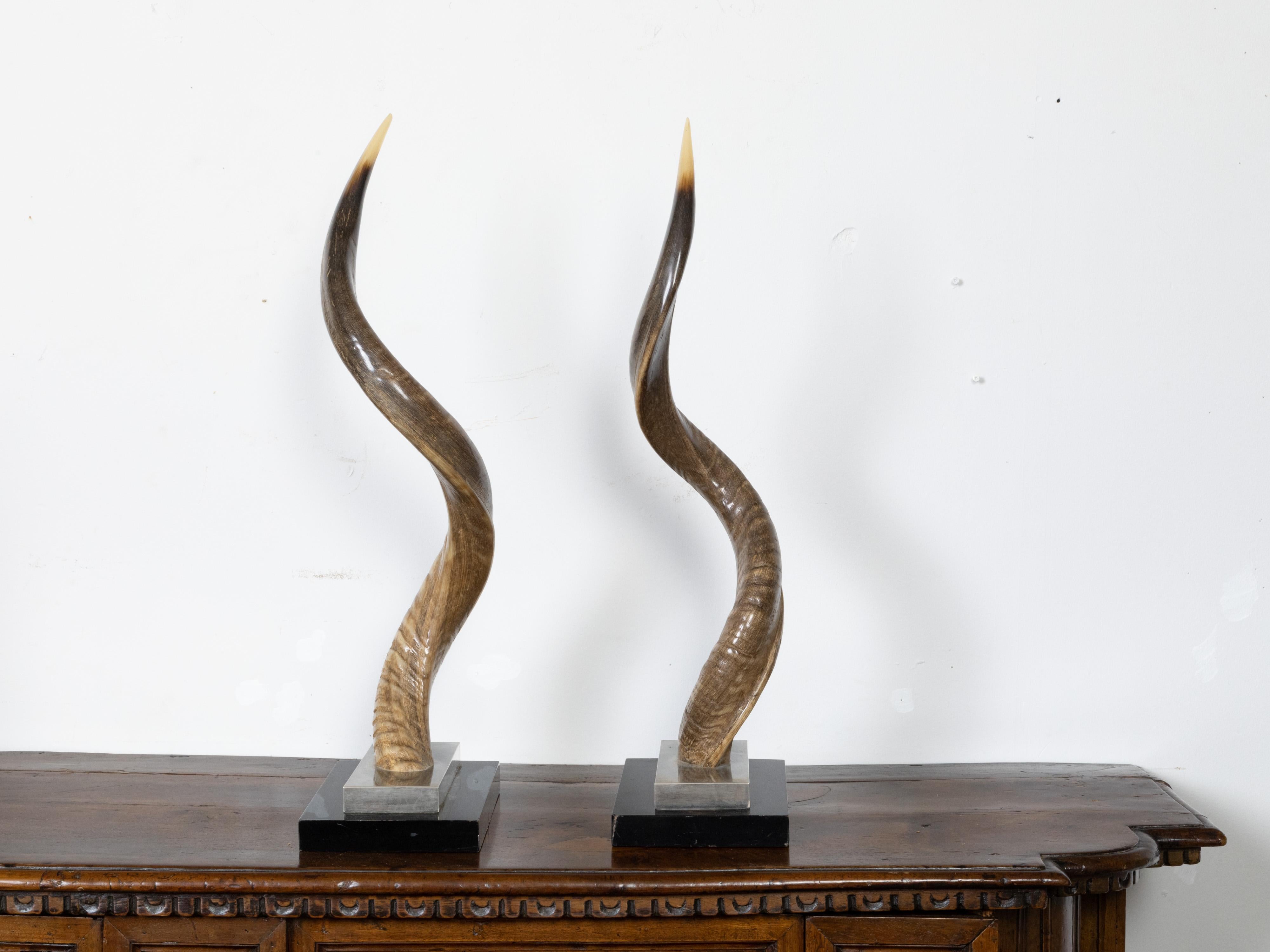 Mid-Century Modern Pair of European Midcentury Horns Mounted on Silver and Black Stepped Bases For Sale