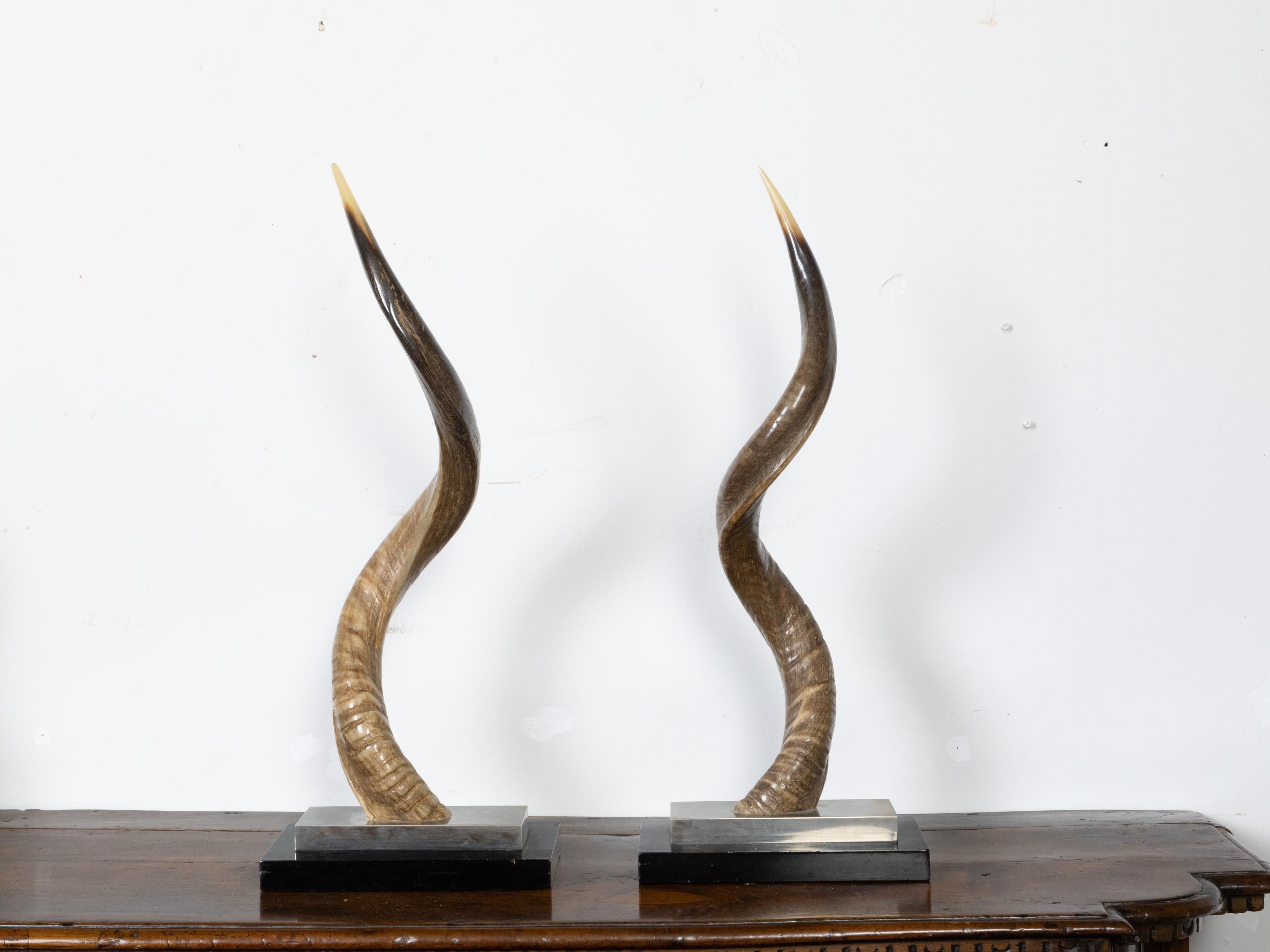 Pair of European Midcentury Horns Mounted on Silver and Black Stepped Bases In Good Condition For Sale In Atlanta, GA
