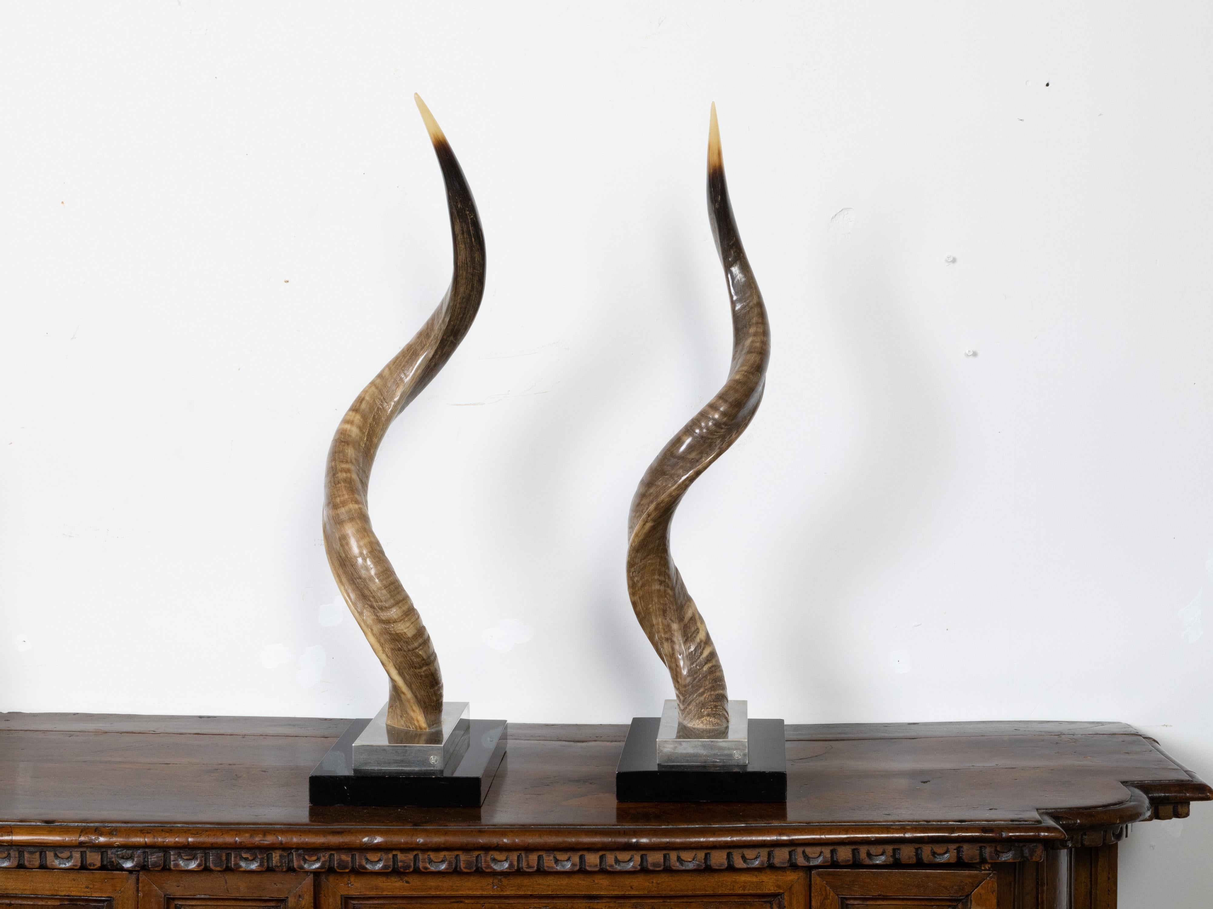 20th Century Pair of European Midcentury Horns Mounted on Silver and Black Stepped Bases For Sale