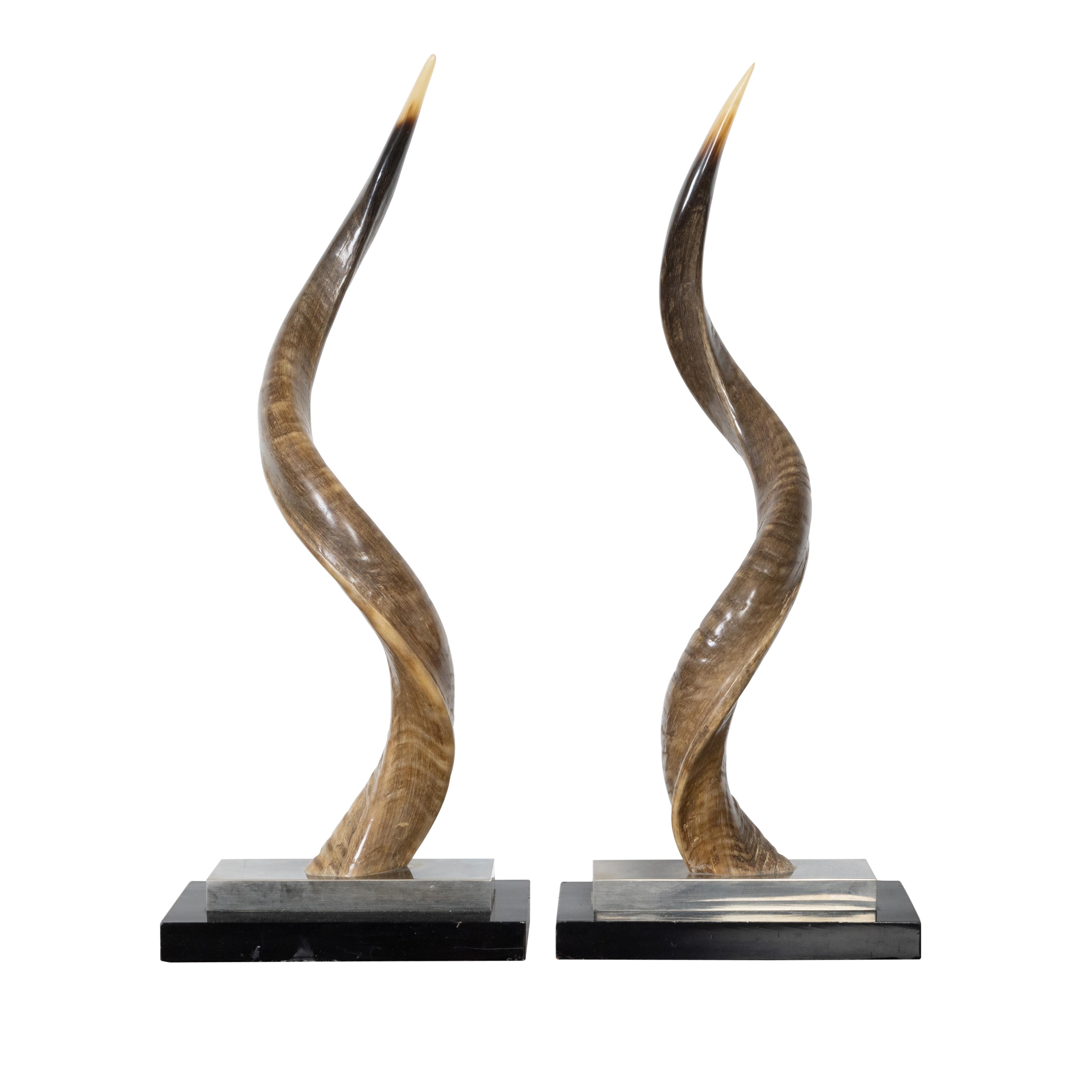 Pair of European Midcentury Horns Mounted on Silver and Black Stepped Bases For Sale