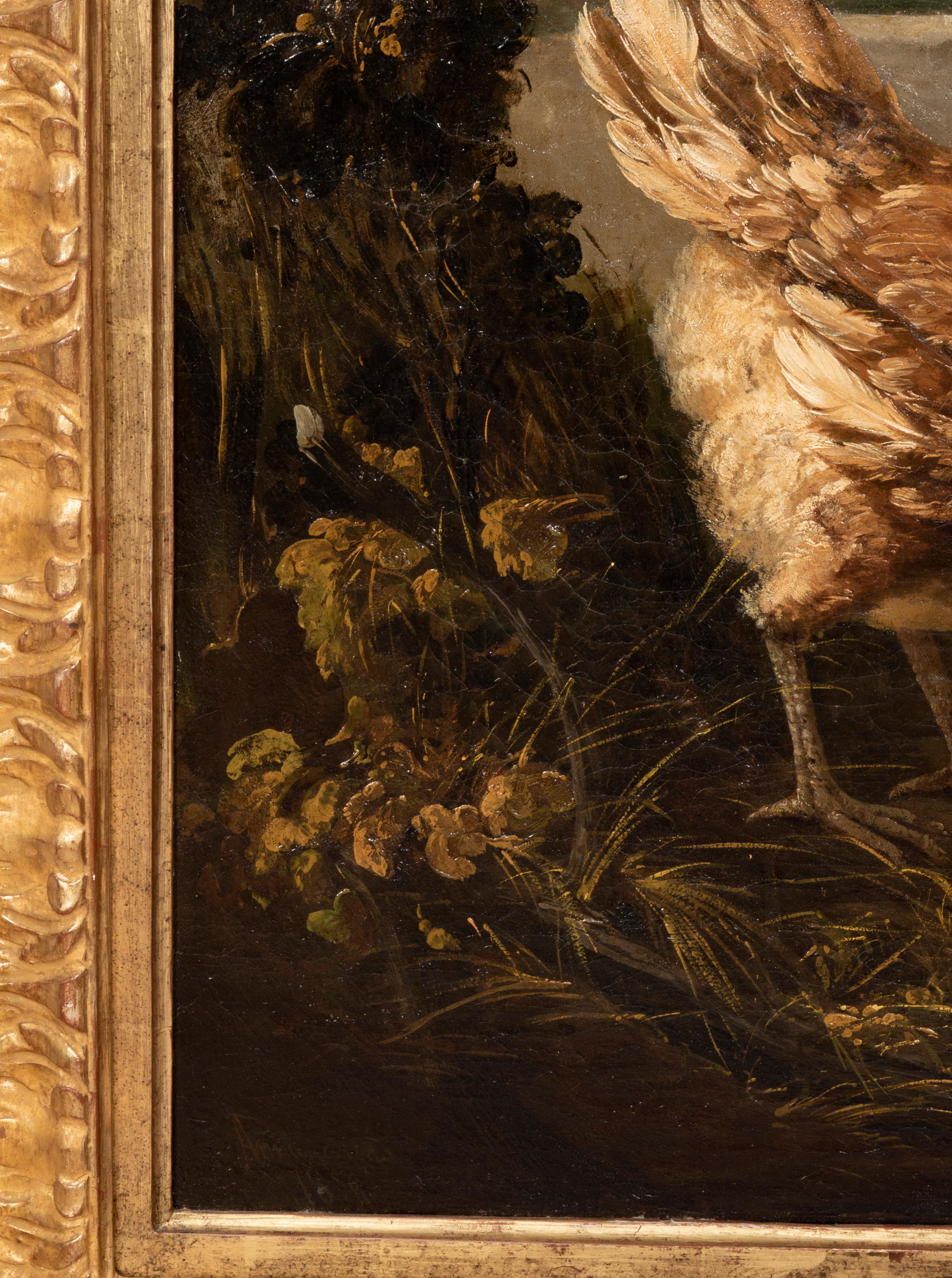 Paire de peintures à l'huile sur toile d'Europe représentant des oiseaux dans une maison en vente 6