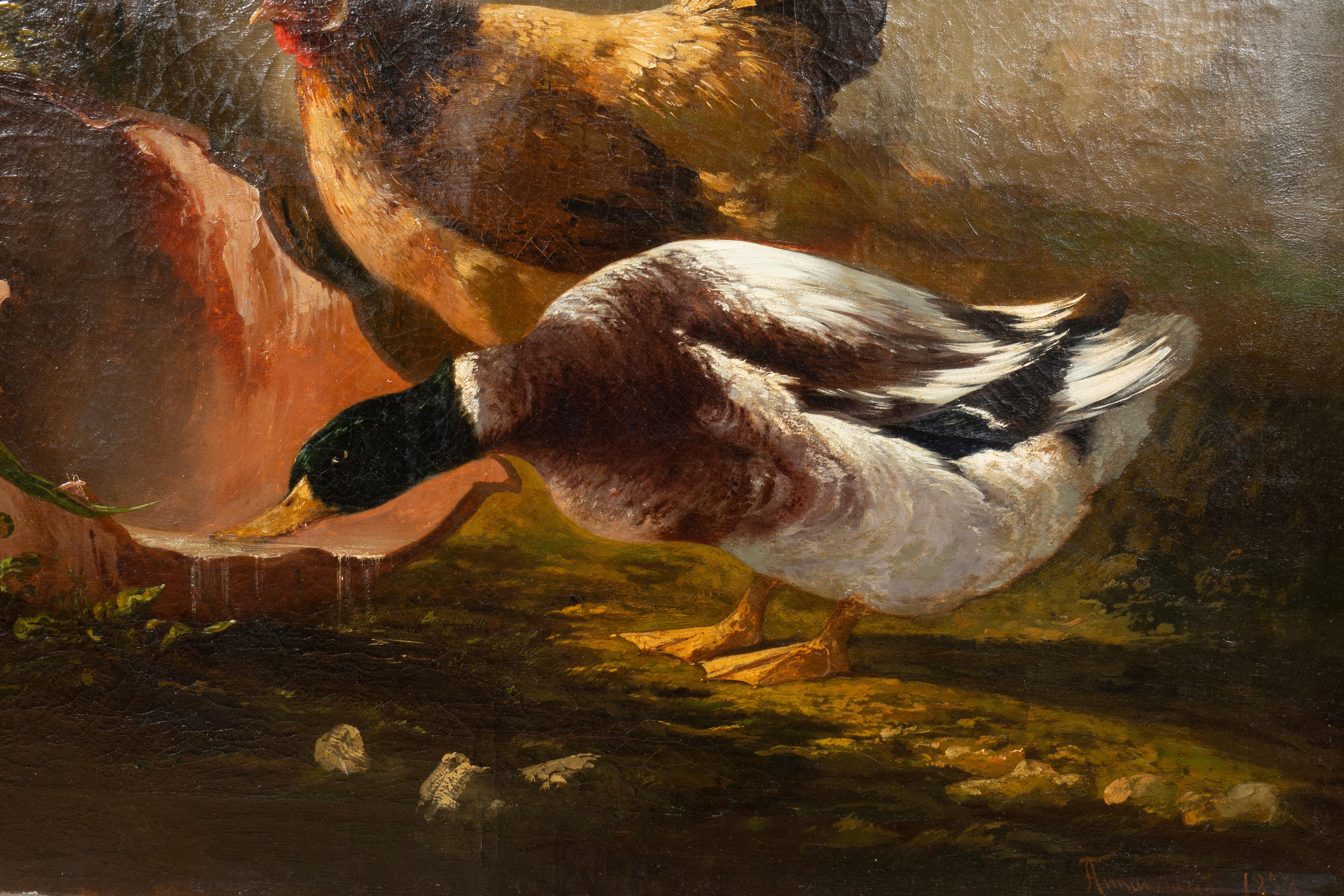 Paire de peintures à l'huile sur toile d'Europe représentant des oiseaux dans une maison en vente 13