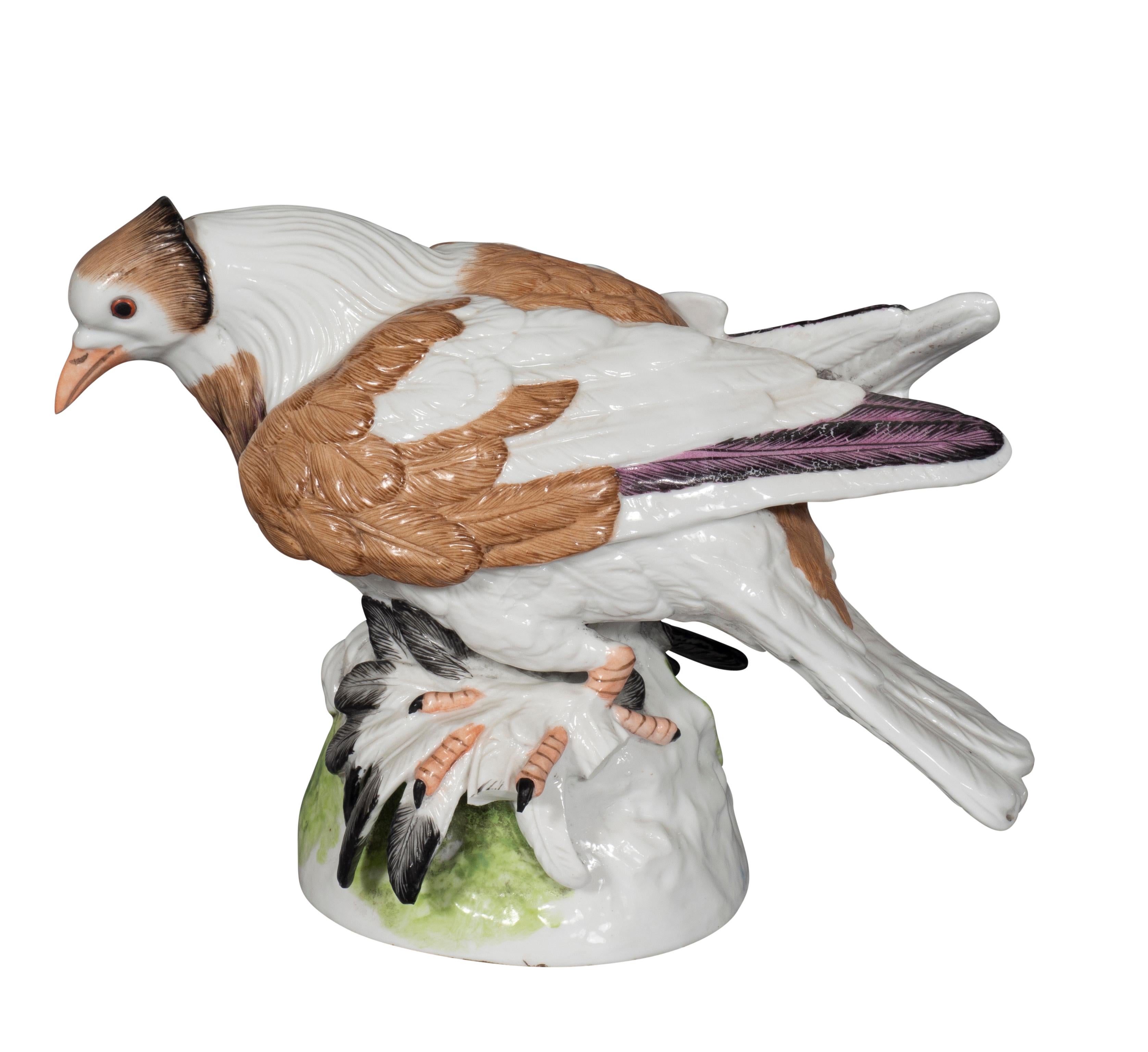 Pair of  European Porcelain Figures Of English Trumpeter Pigeons For Sale 9