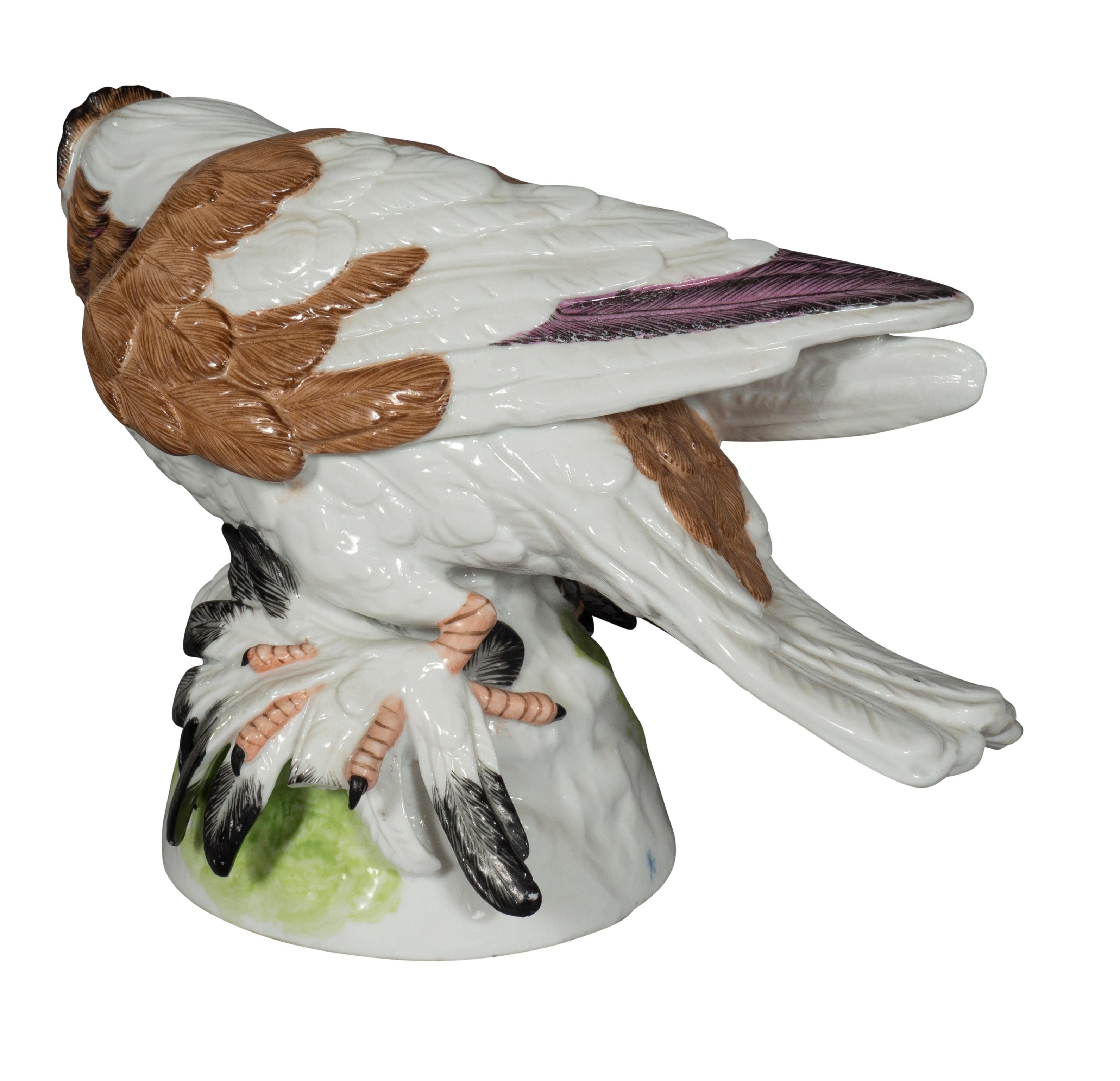 19th Century Pair of  European Porcelain Figures Of English Trumpeter Pigeons For Sale