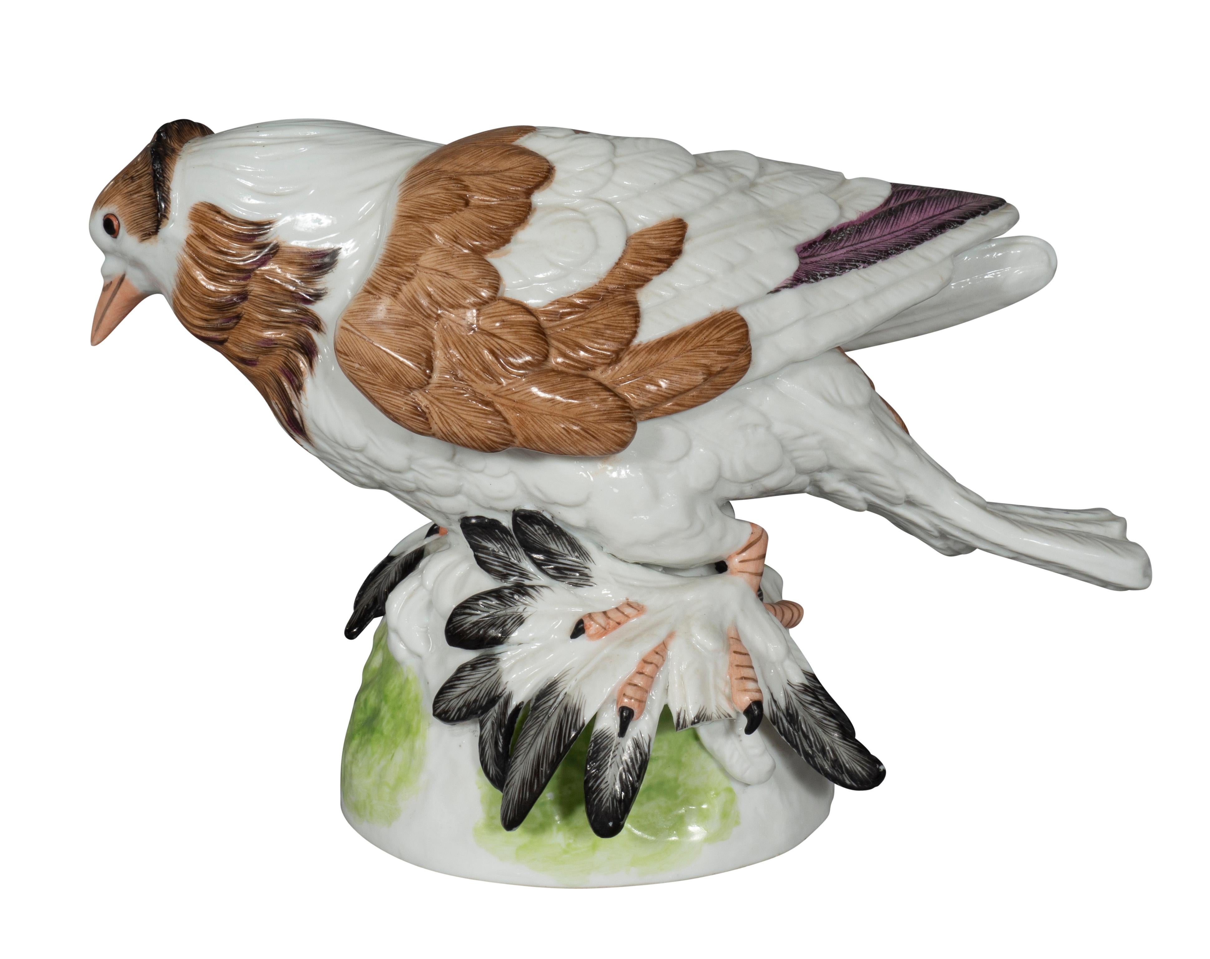Pair of  European Porcelain Figures Of English Trumpeter Pigeons For Sale 1
