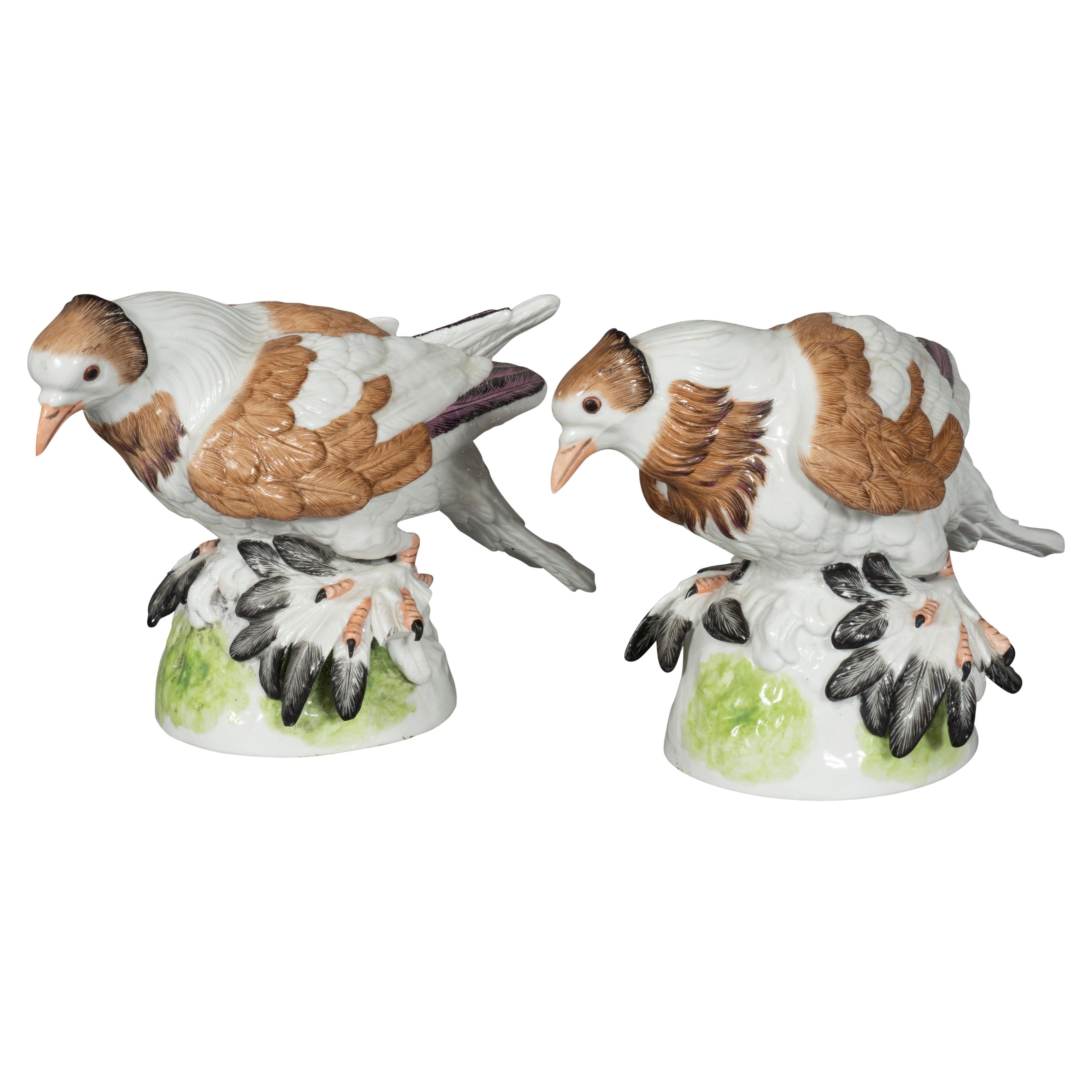 Pair of  European Porcelain Figures Of English Trumpeter Pigeons For Sale