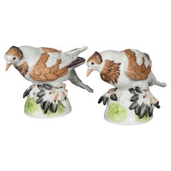 Used Pair of  European Porcelain Figures Of English Trumpeter Pigeons