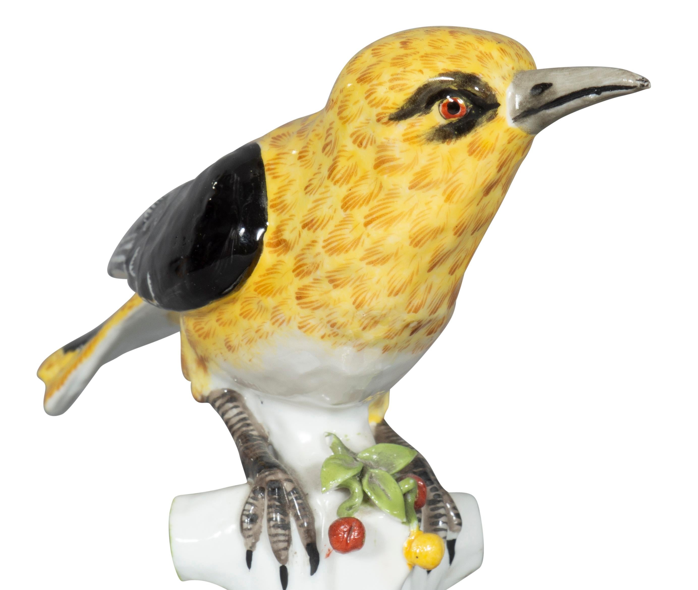 Paire de figurines d'oiseaux de soleil en porcelaine européenne en vente 9