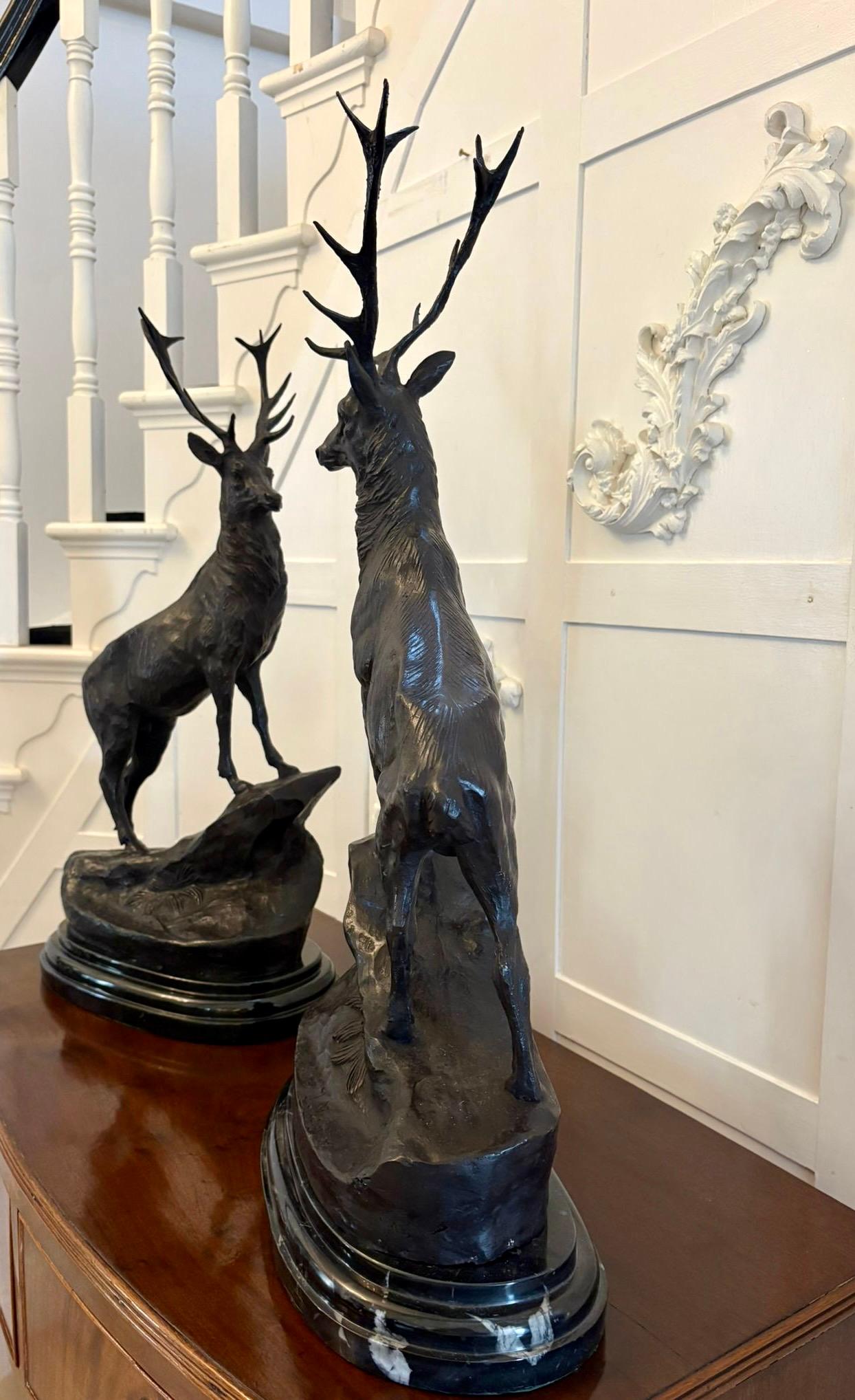 Paire de cerfs des Highlands en bronze de qualité exceptionnelle par Jules Moigniez (français 1835-1894). Paire de cerfs en bronze moulés en creux, chacun reposant sur un affleurement rocheux et sur des socles en marbre moulé et veiné. Chacune