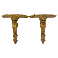 Pair of Exceptional Gilt Tera-Cotta  Regence Style Wall Shelves