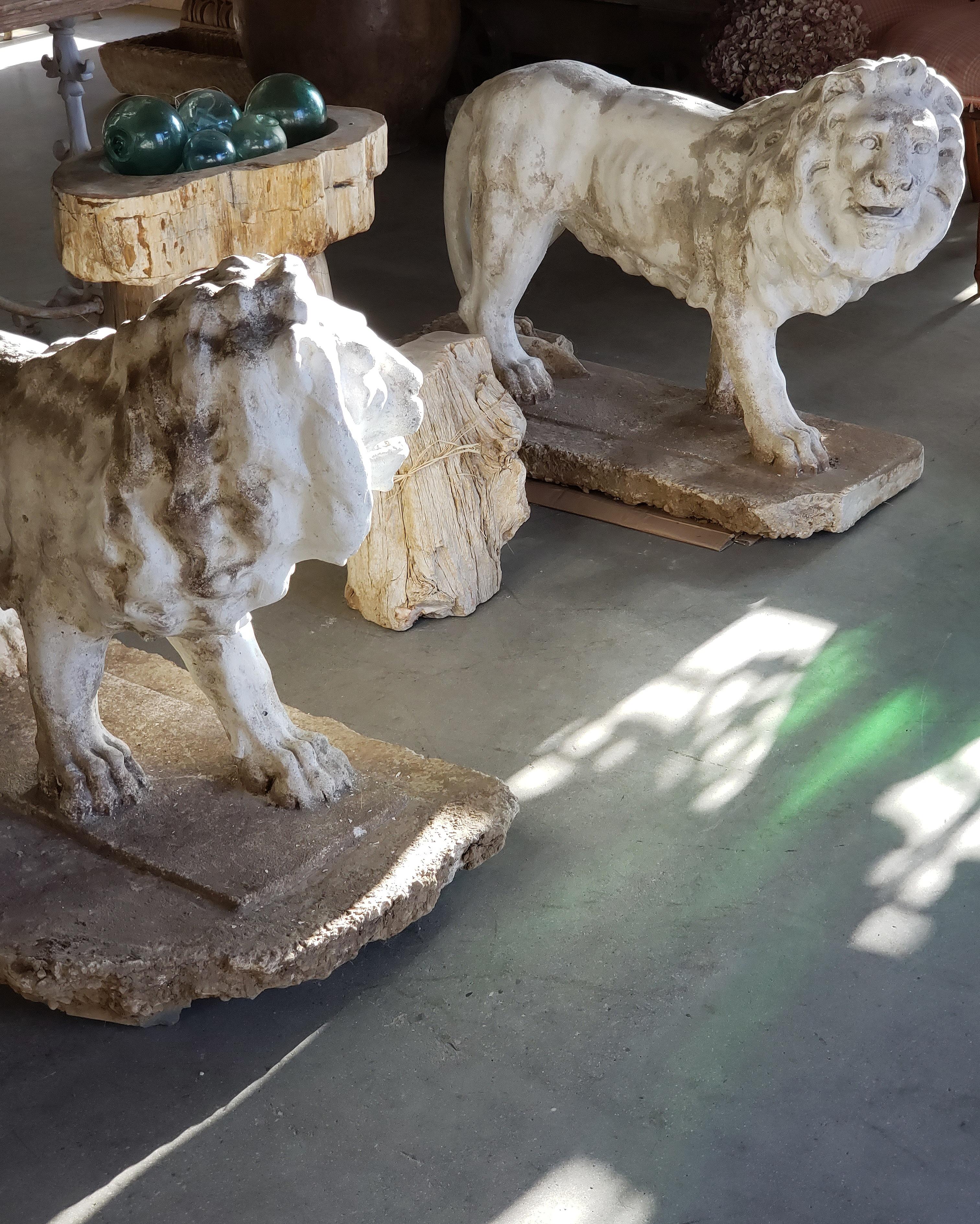 Pair of Exceptional Opposing Cement Lions with Hand Scraped Finish For Sale 11
