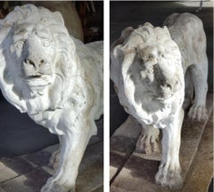 Pair of Exceptional Opposing Cement Lions with Hand Scraped Finish