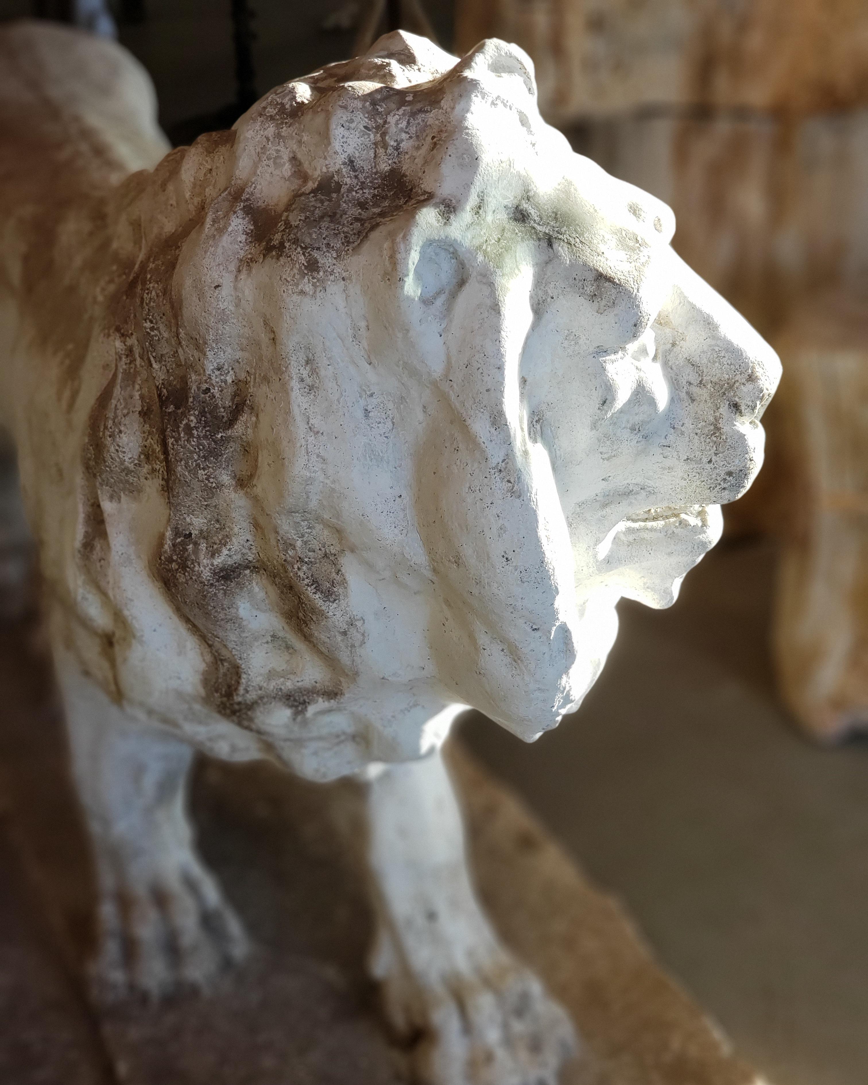 Pair of Exceptional Opposing Cement Lions with Hand Scraped Finish For Sale 15