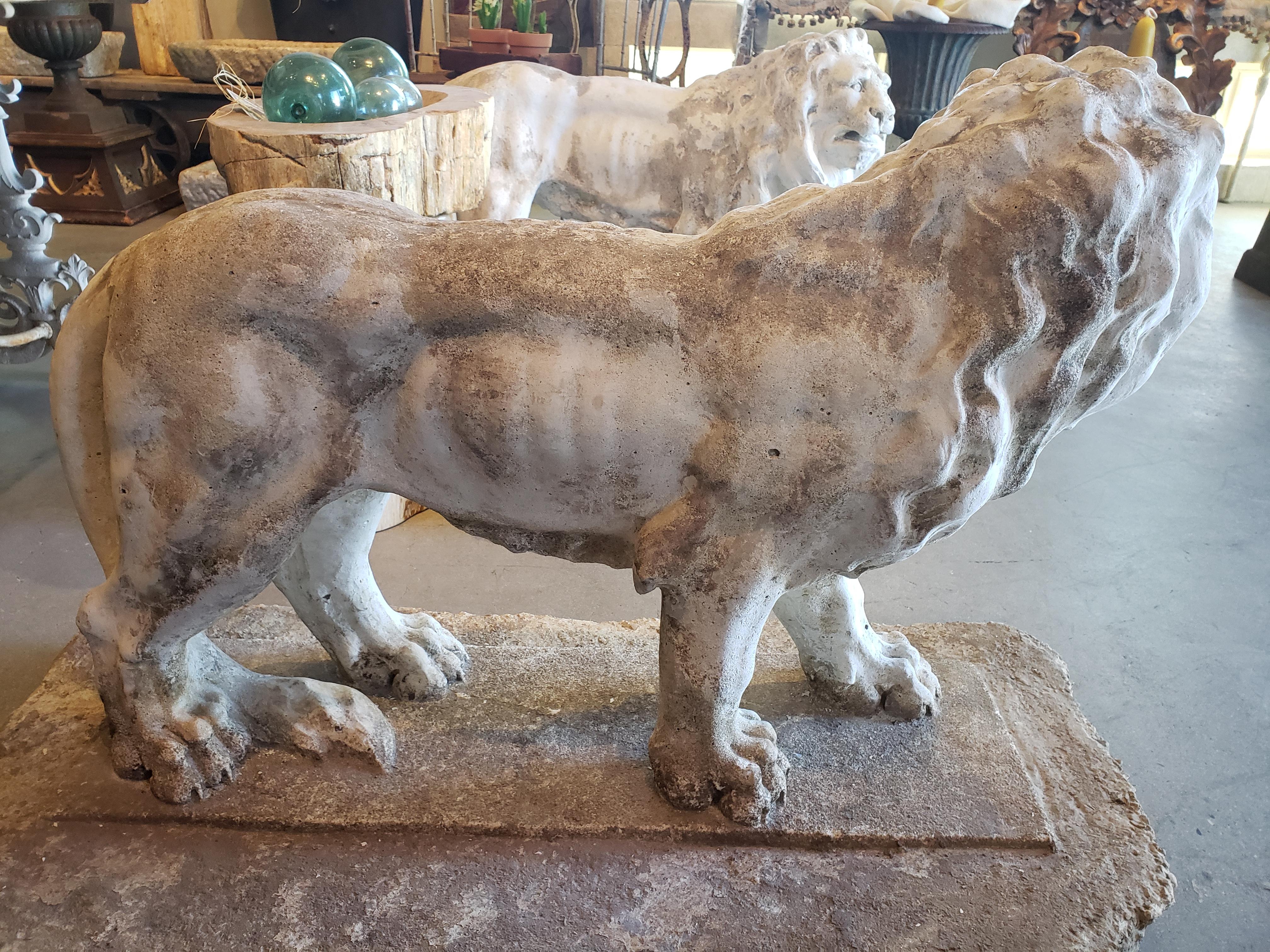 Pair of Exceptional Opposing Cement Lions with Hand Scraped Finish For Sale 3