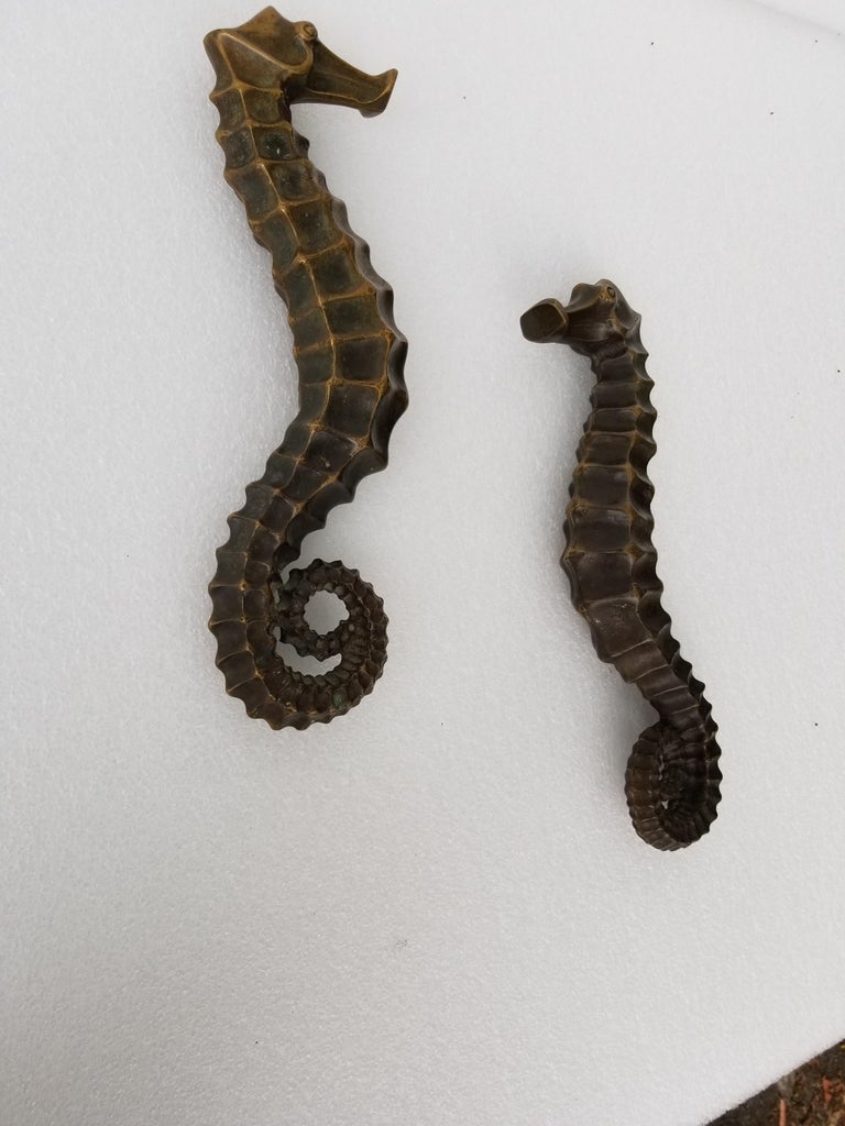 Pair of Facing Seahorse Bronze Door Handles at 1stDibs seahorse door