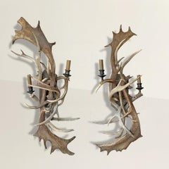 Paire d'appliques en bois de daim