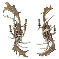 Paire d'appliques en bois de daim