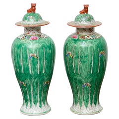 Antique Pair of Famille Verte Lidded Vases with Butterflies and Lion Finials, circa 1920