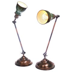 Antique Pair of Faries Articulating Table Lamps