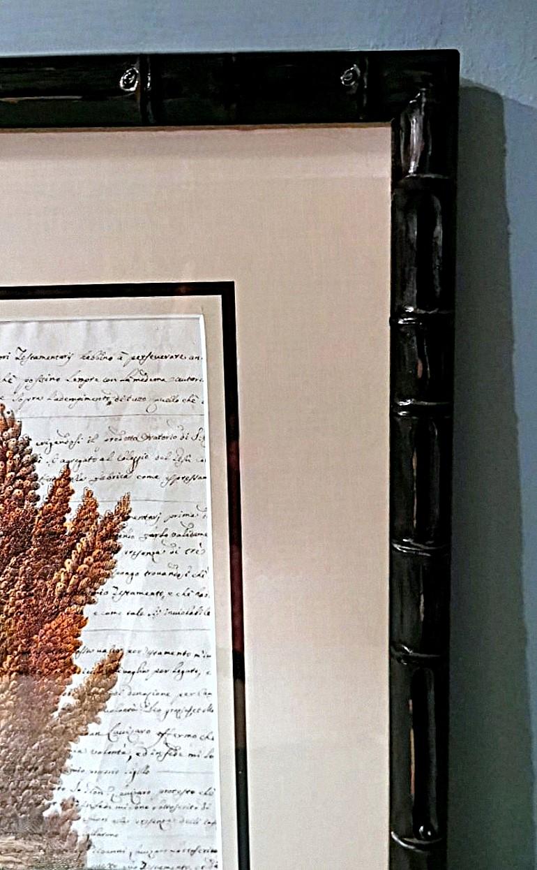 Paire de cadres en faux bambou avec impressions de coquillages italiens anciennes et texte non traduit. en vente 3
