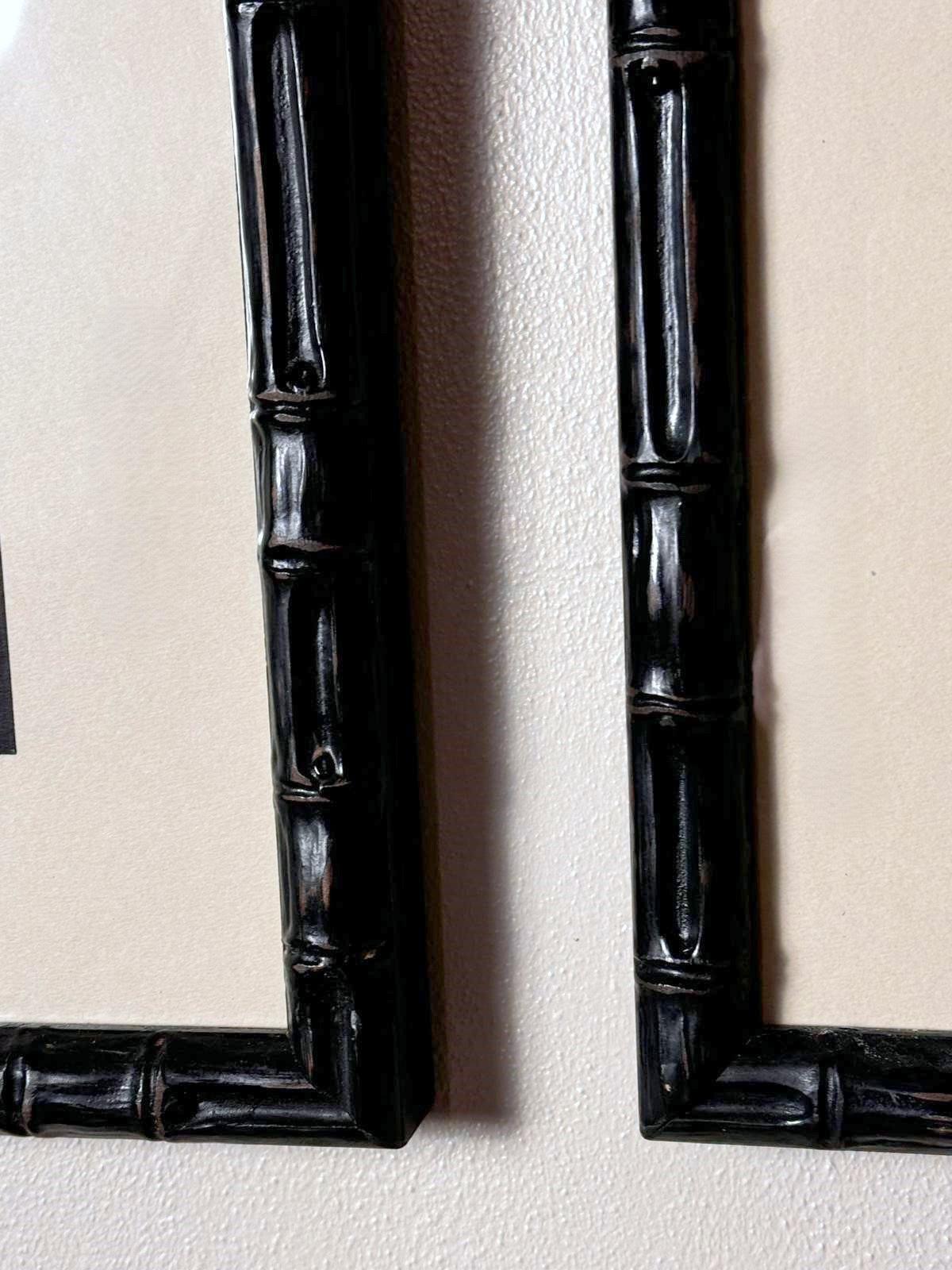 Paire de cadres en faux bambou avec impressions de coquillages italiens anciennes et texte non traduit. en vente 11