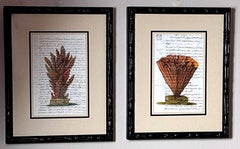 Pair “Faux Bamboo” Frames With Old Italian Shell Prints With Overwritten Text.