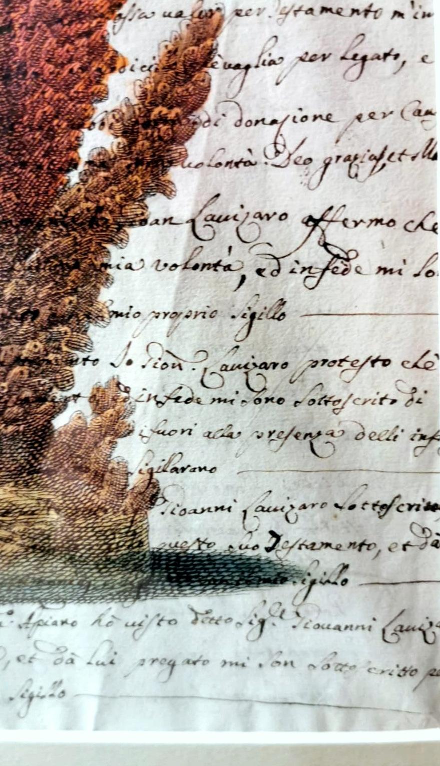 Paire de cadres en faux bambou avec impressions de coquillages italiens anciennes et texte non traduit. en vente 2