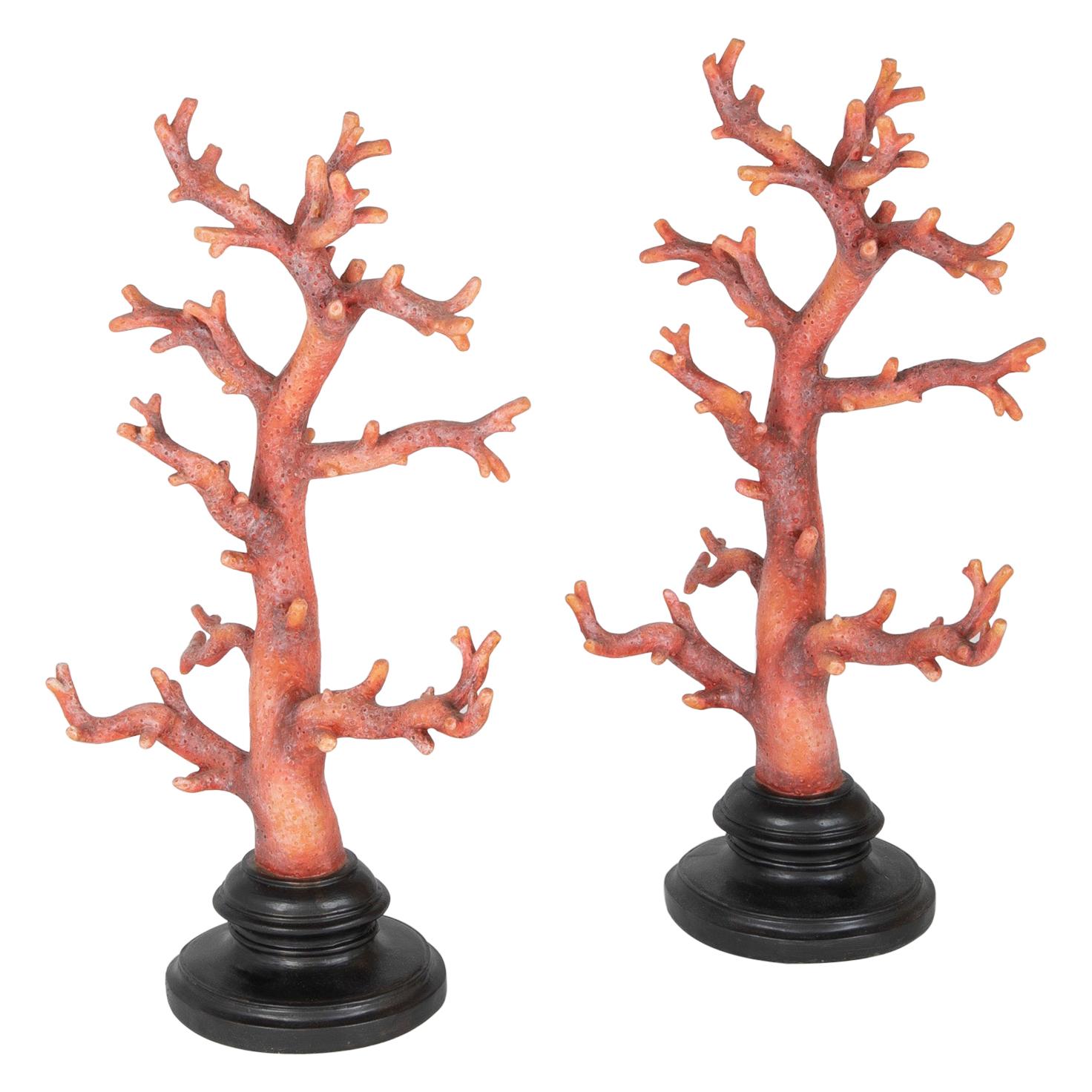 Pair of Faux Red Corals on Black Bases
