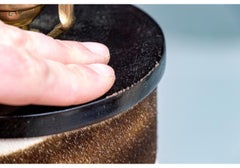 Pair Of Faux Zebra Hide Table Lamps