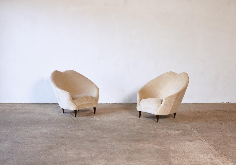 An original pair of Federico Munari lounge chairs, produced in Italy in the 1950s. Newly upholstered in Larsen / Cowtan and Tout velvet in a muted gold or beige color. The structure, wooden frames, and feet are all in good condition.   Fast shipping