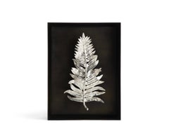 Pair of Fern Silver Shadow Boxes in Antique Nickel