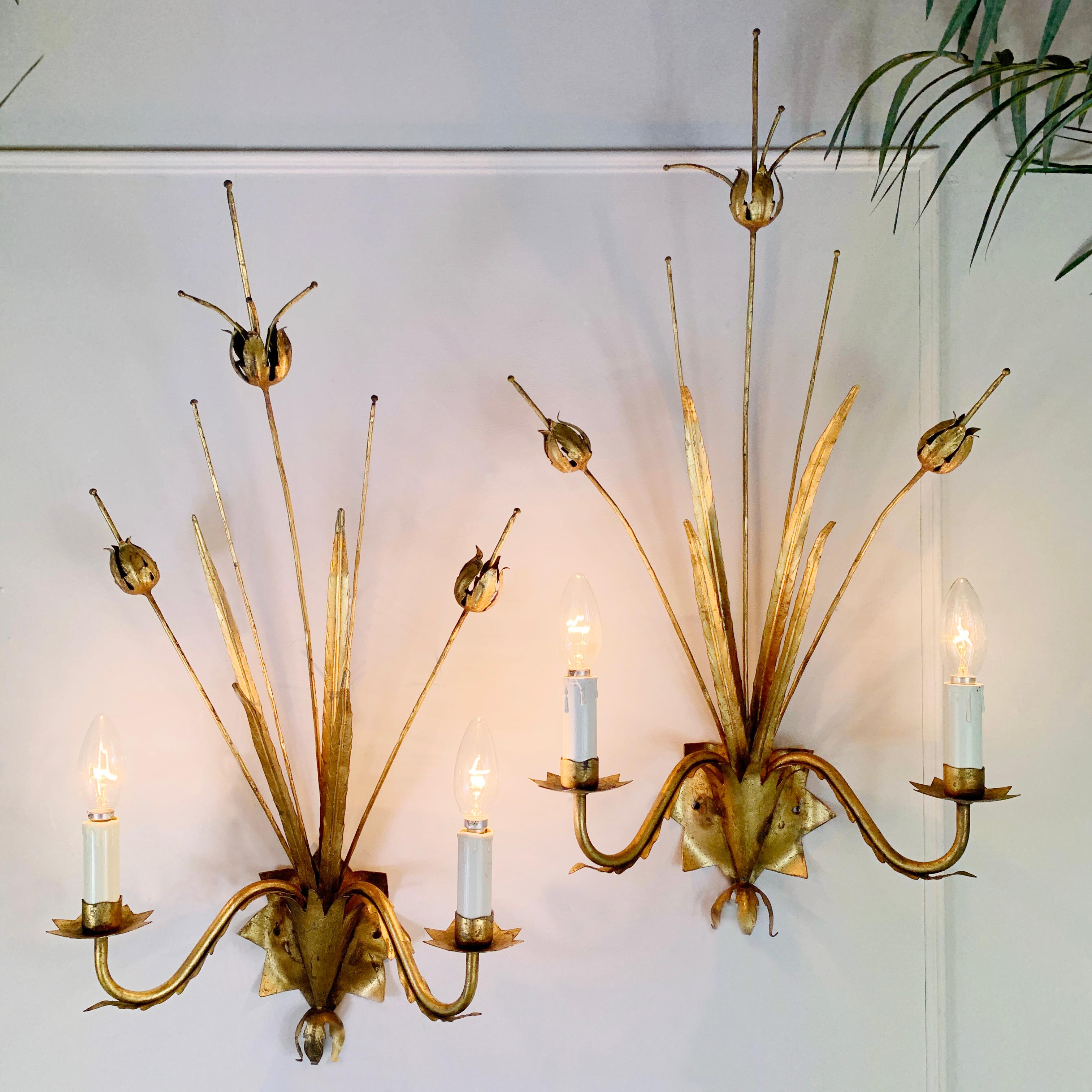 ‘Ferro Art’ gilt seed pod wall lights
Spain 1970's 
Large gilt wall lights in the design of tall stemmed seed pods with fine leaves
These lights are attributed to ‘Ferro Art’ 

70cm height, 36cm width, 17cm depth 

Each light takes 2 small