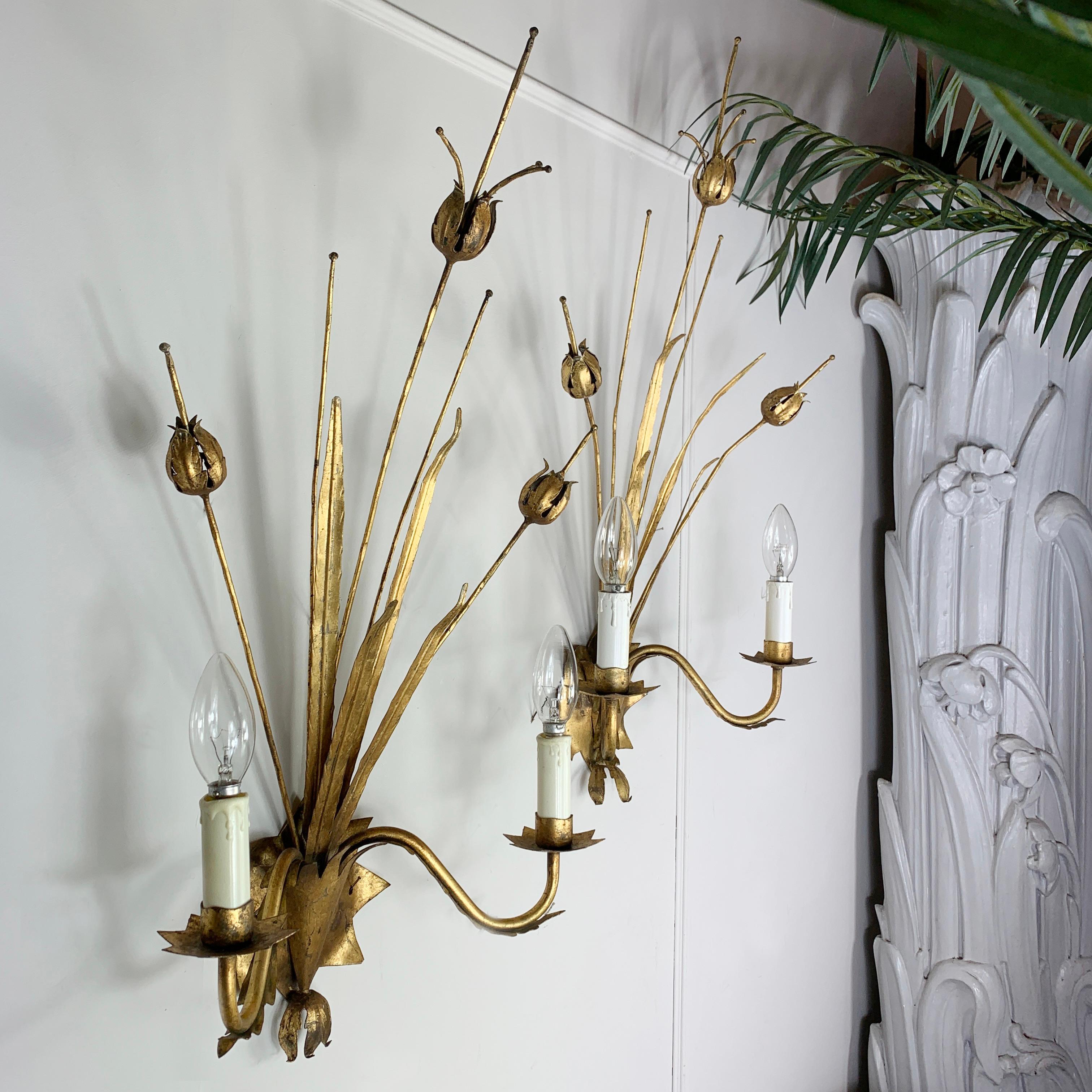 Pair of Ferro Art Gilt Seed Pod Wall Lights, 1970’s In Good Condition In Hastings, GB